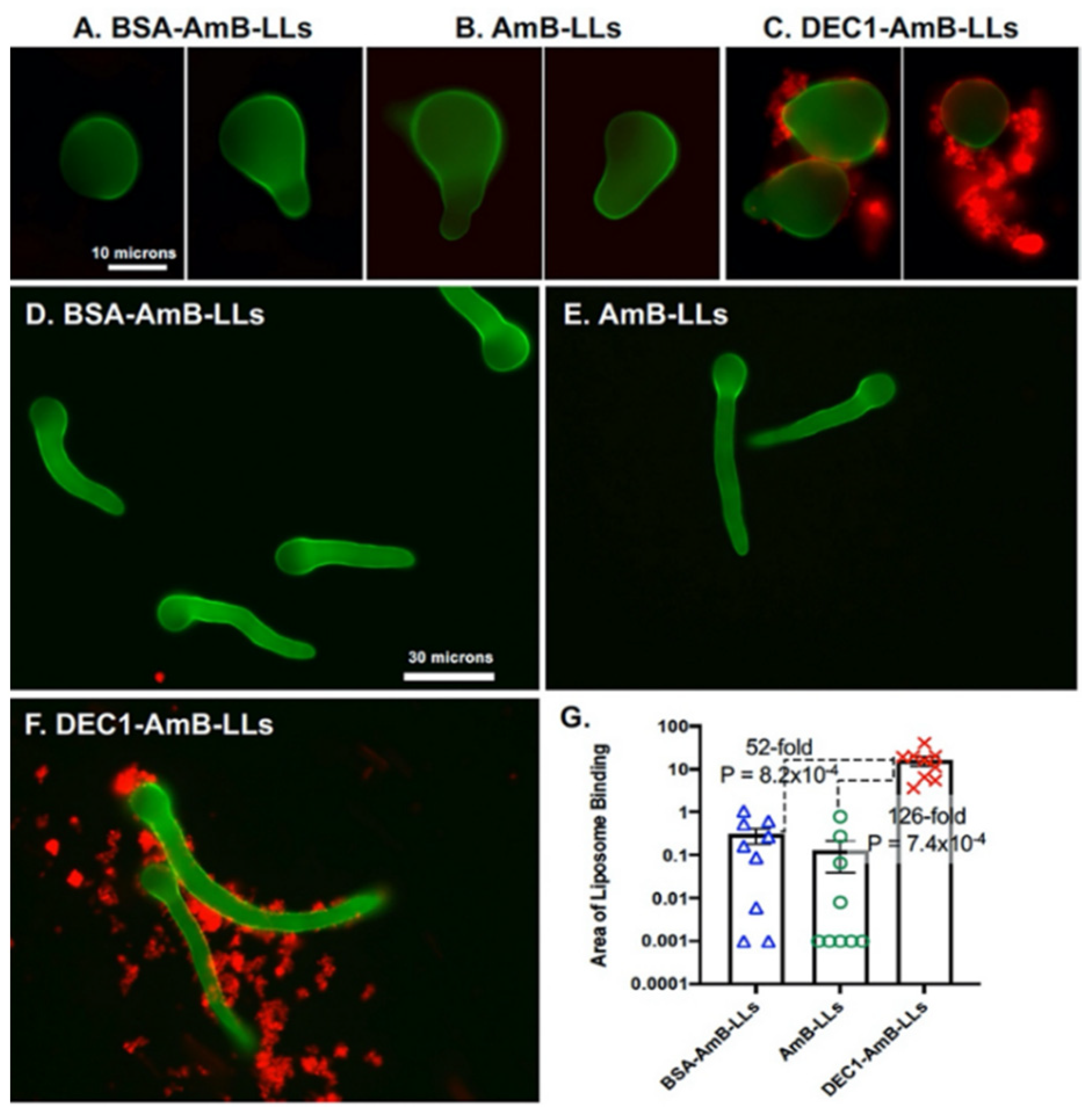 Jof 08 00352 g001 550