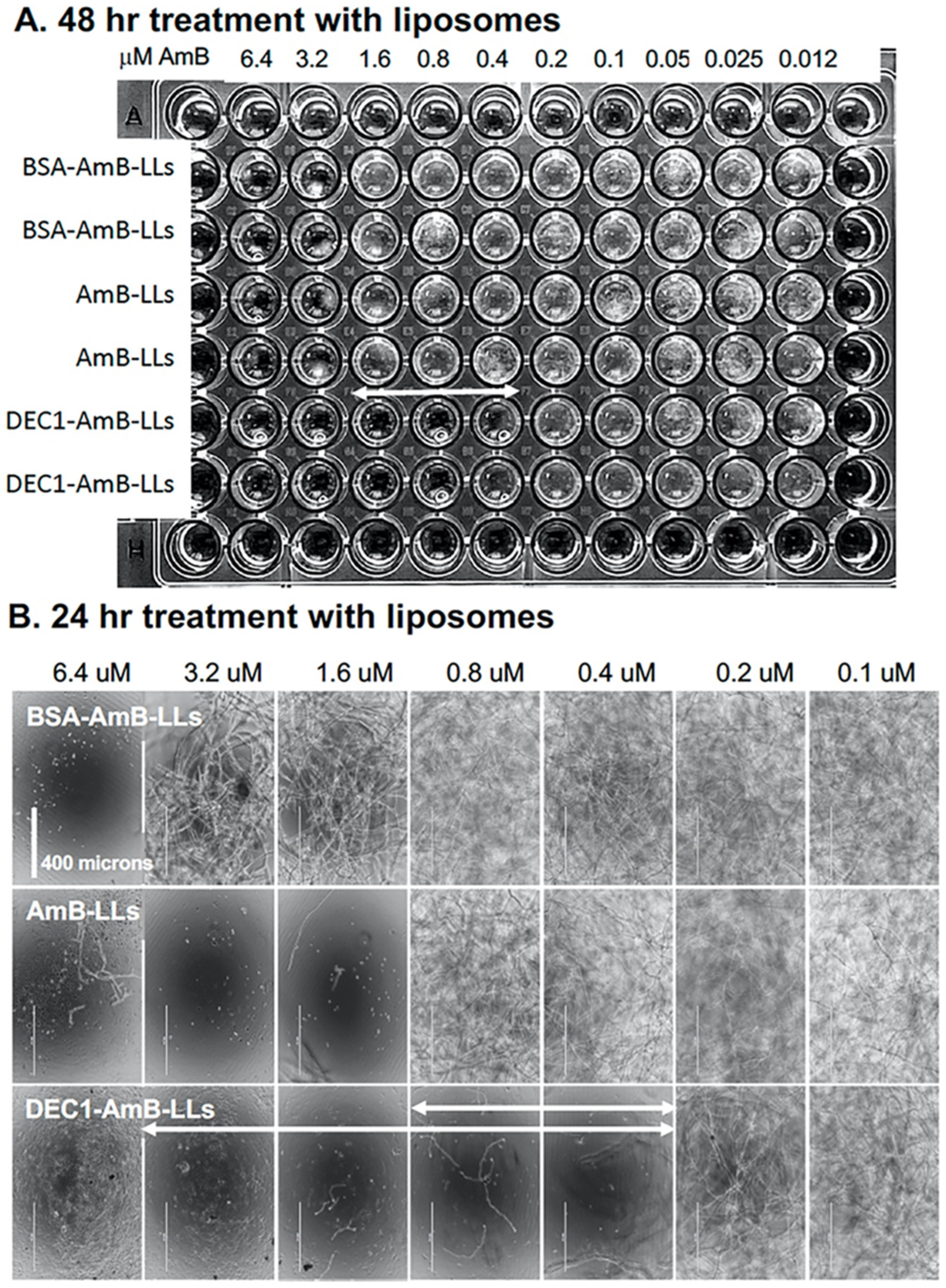 Jof 08 00352 g004 550