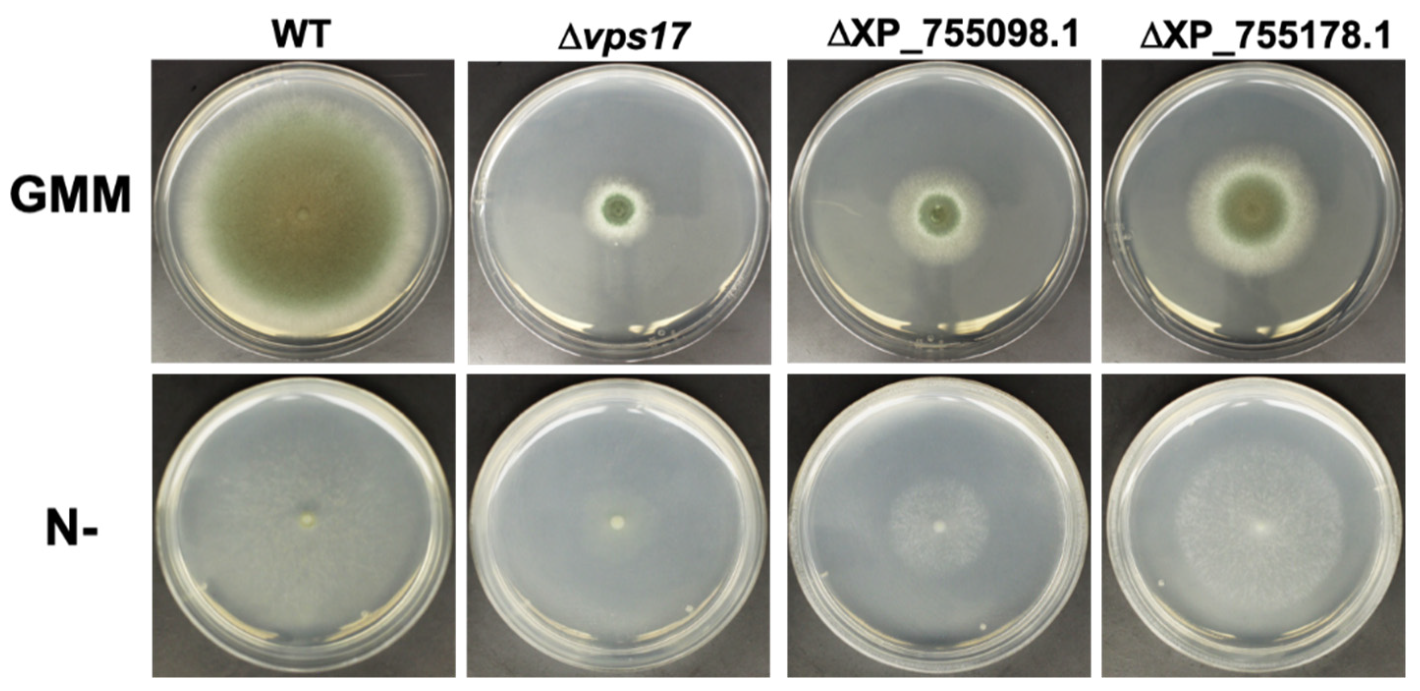 Jof 08 00354 g005 Jof 08 00354 g005
