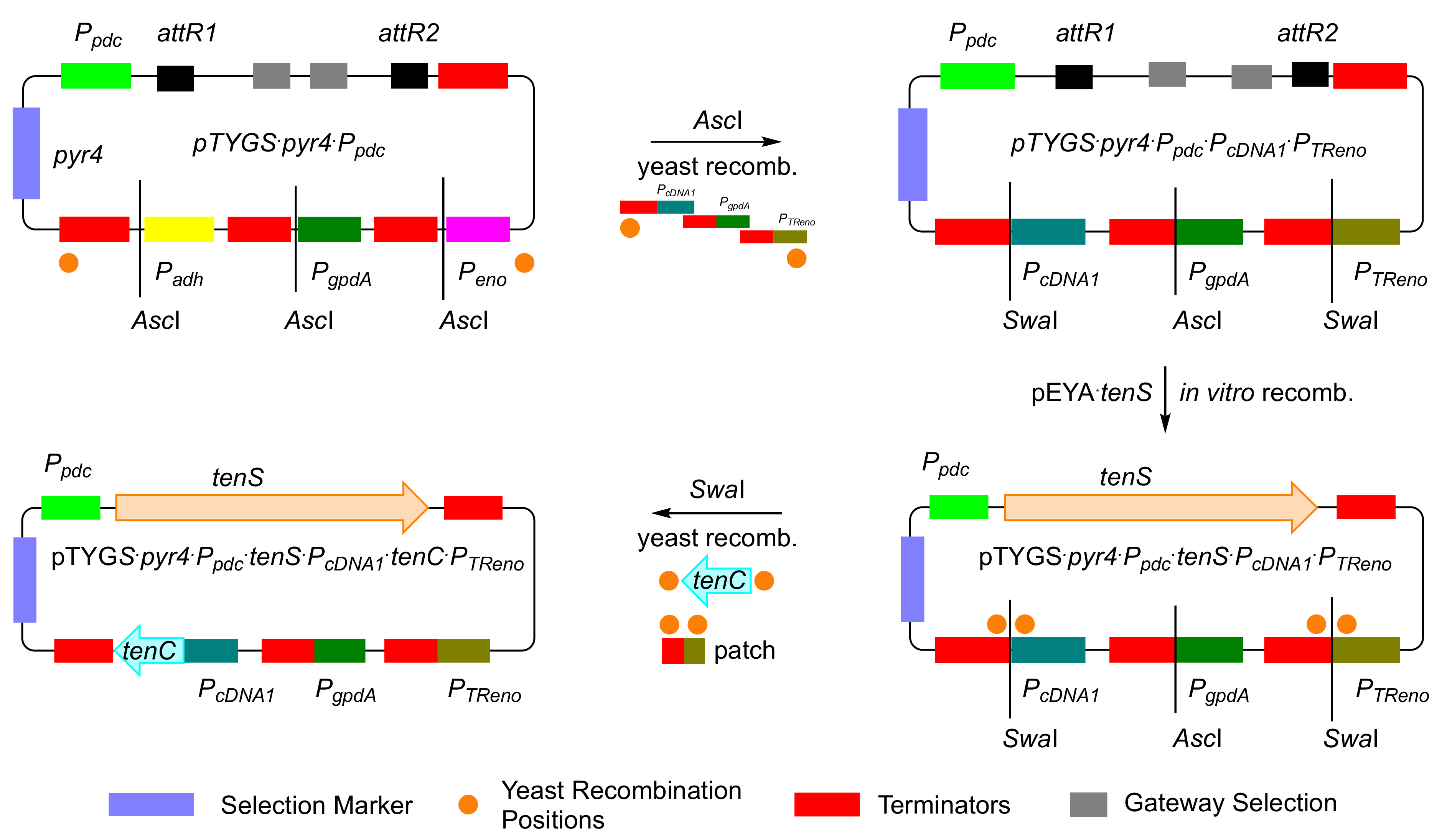 Jof 08 00355 g005 550