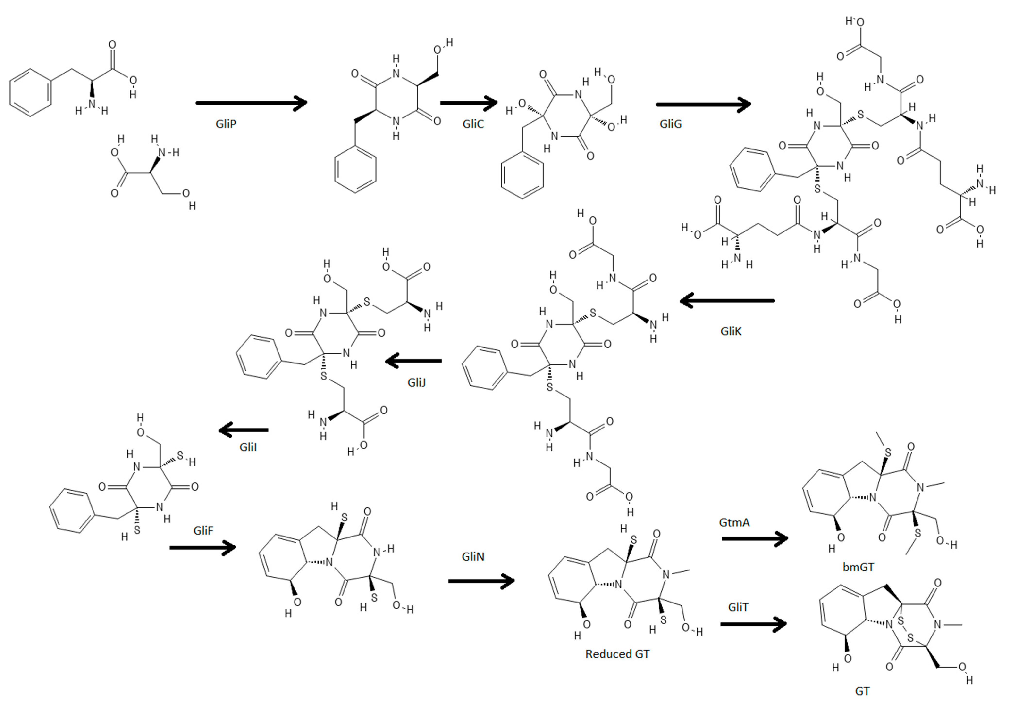 Jof 08 00361 g001 Jof 08 00361 g001