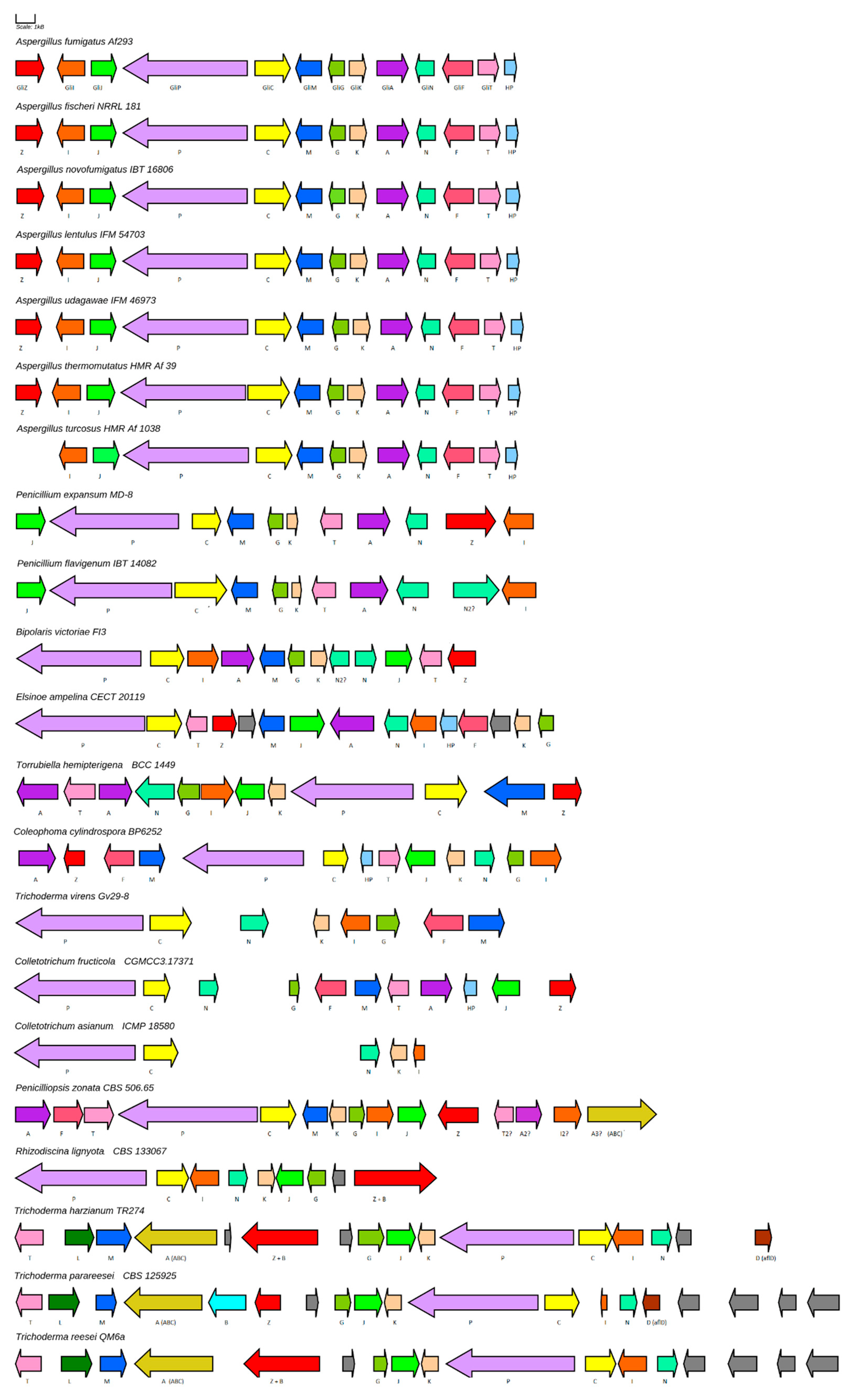 Jof 08 00361 g005 Jof 08 00361 g005