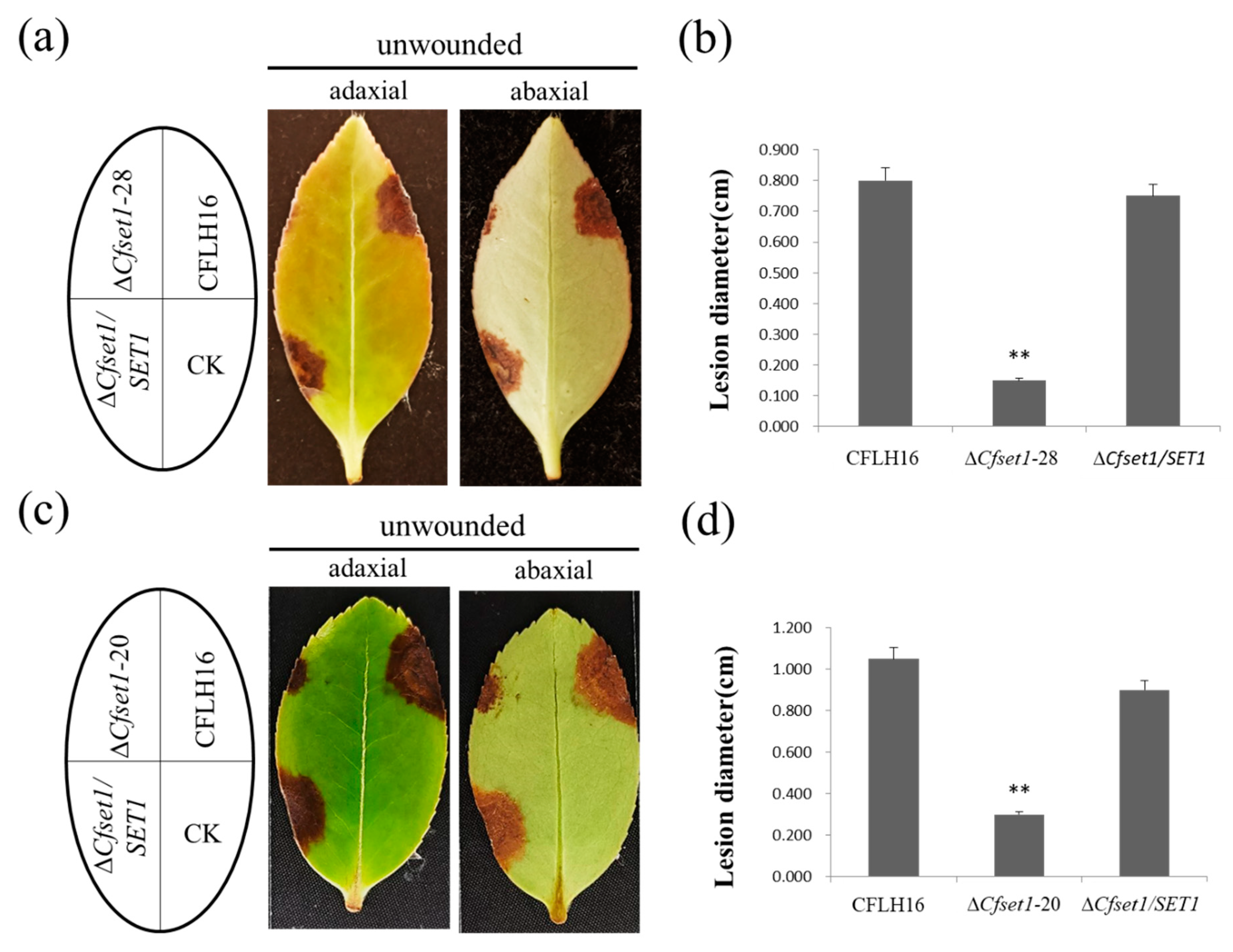 Jof 08 00363 g002 550