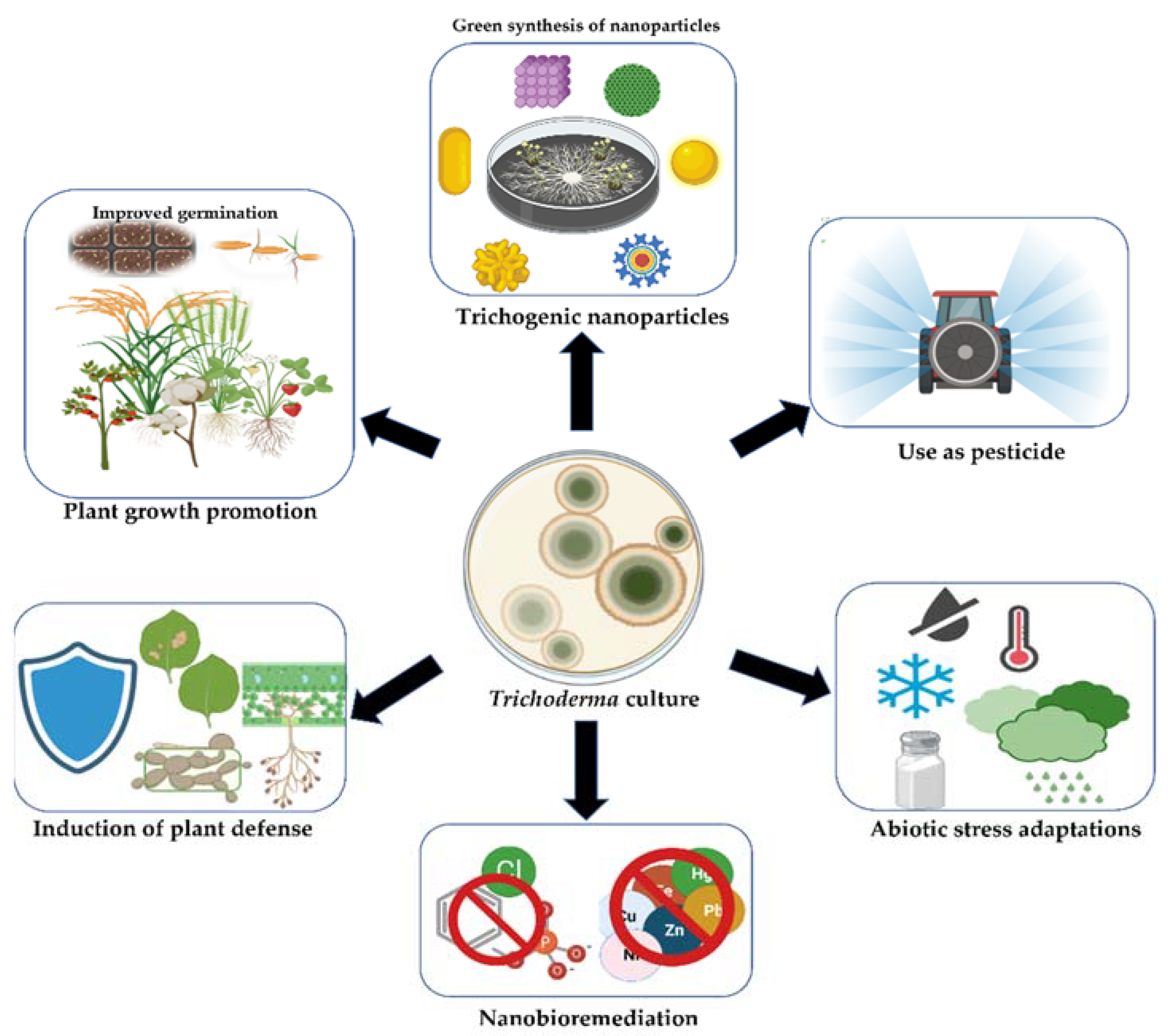 Jof 08 00367 g002 550