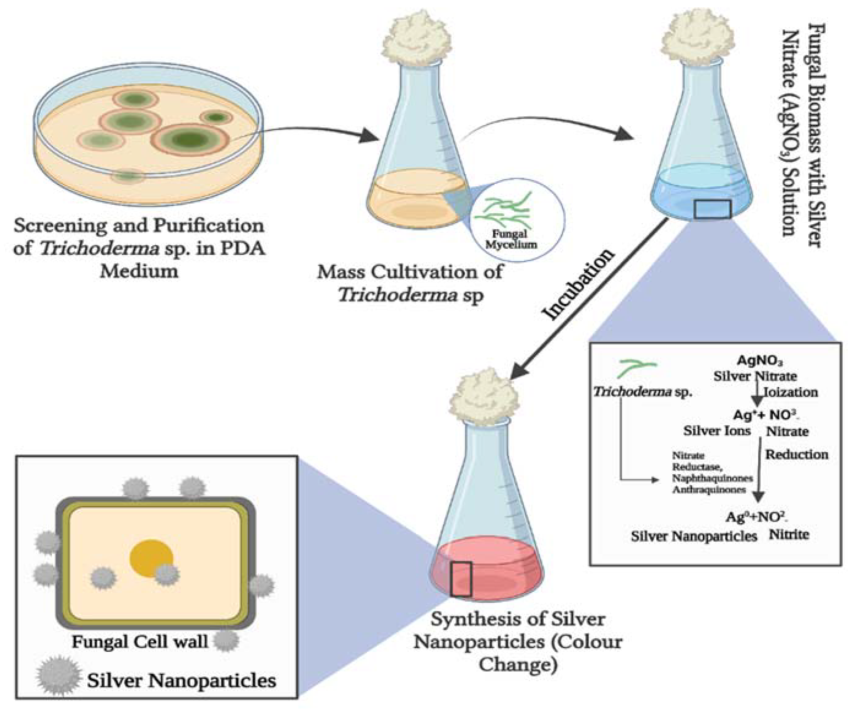 Jof 08 00367 g003 550