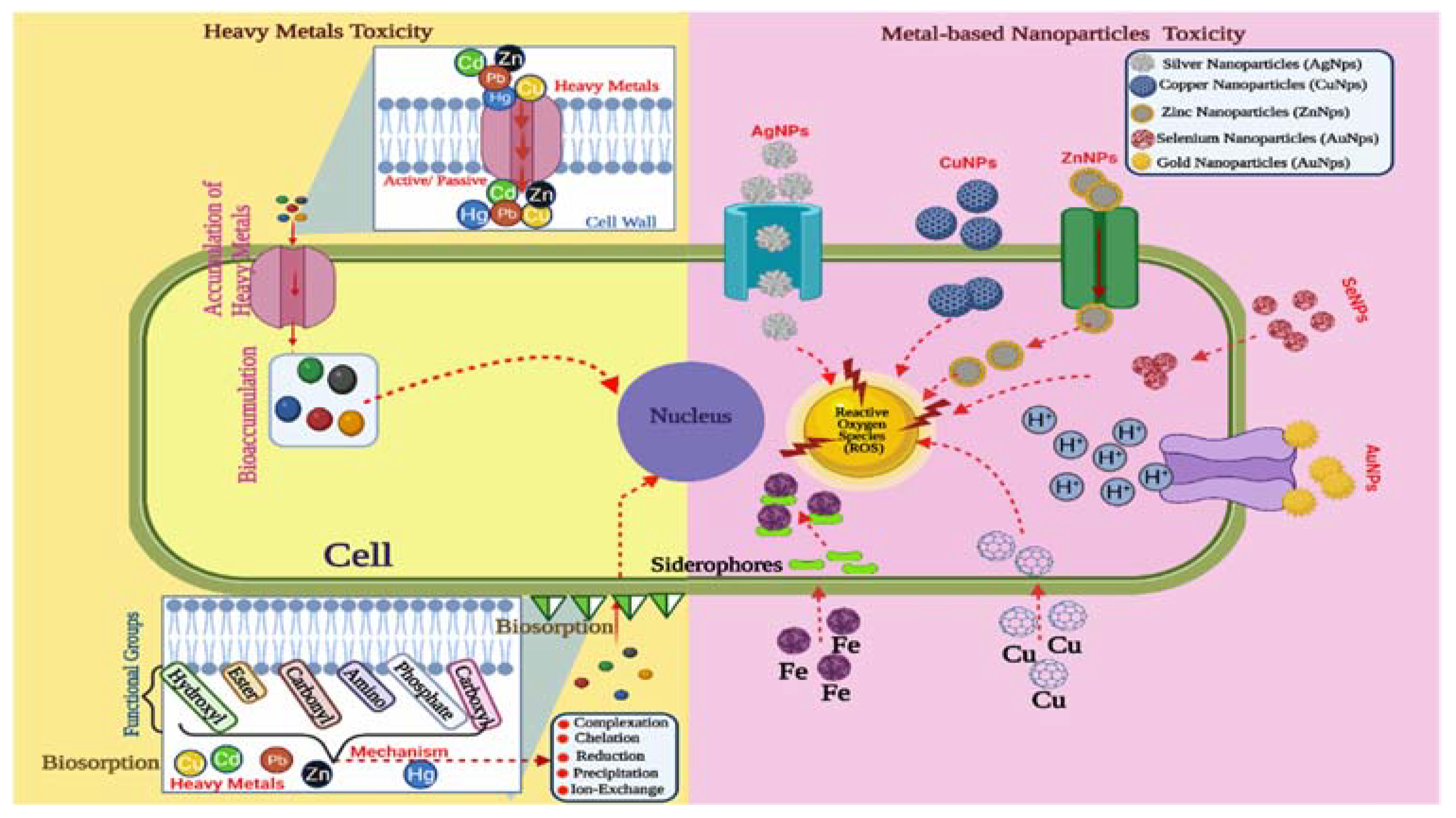 Jof 08 00367 g005 550