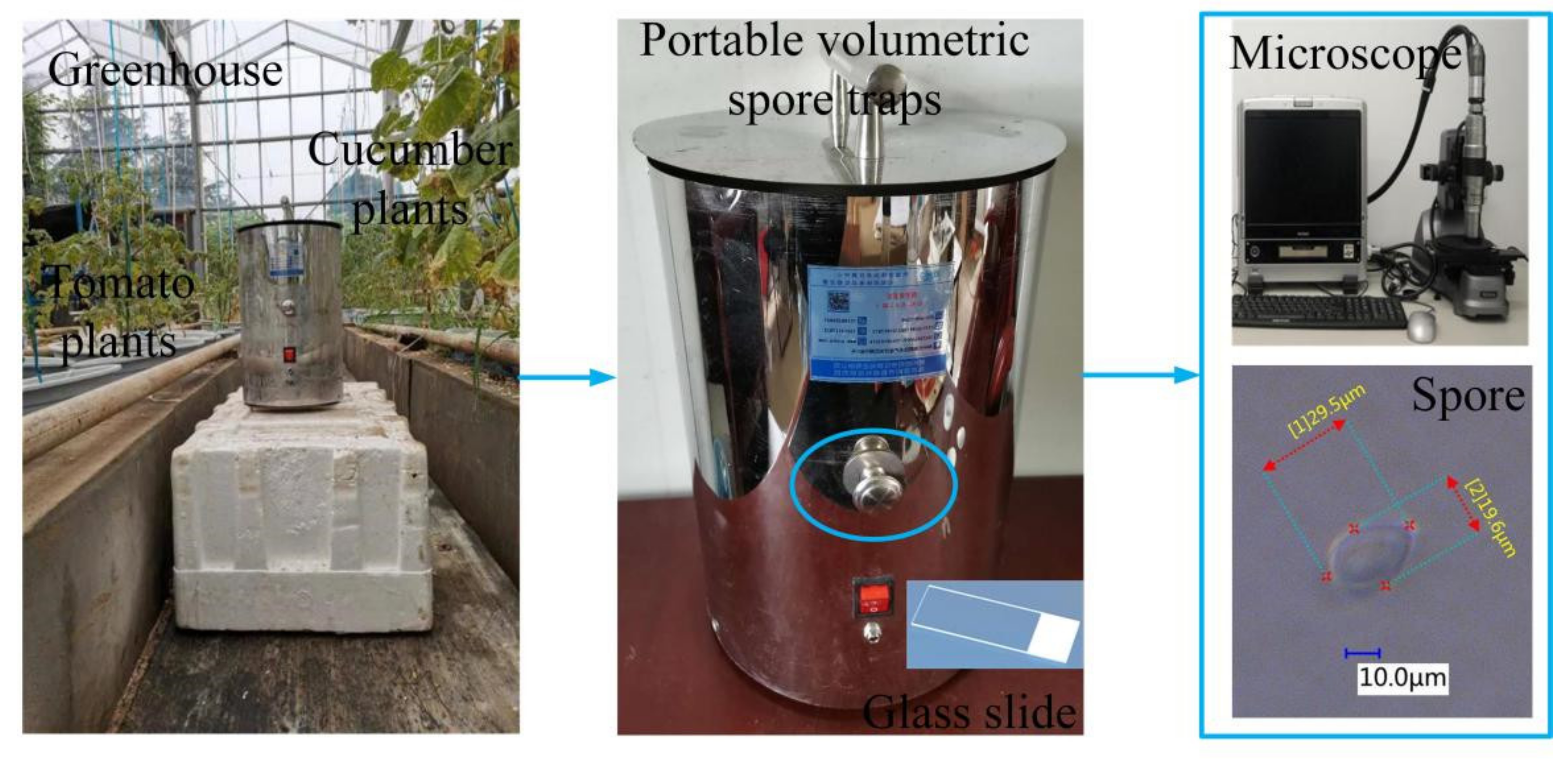 30X Handheld Microscope: Detailed Observations for Mushroom Cultivation