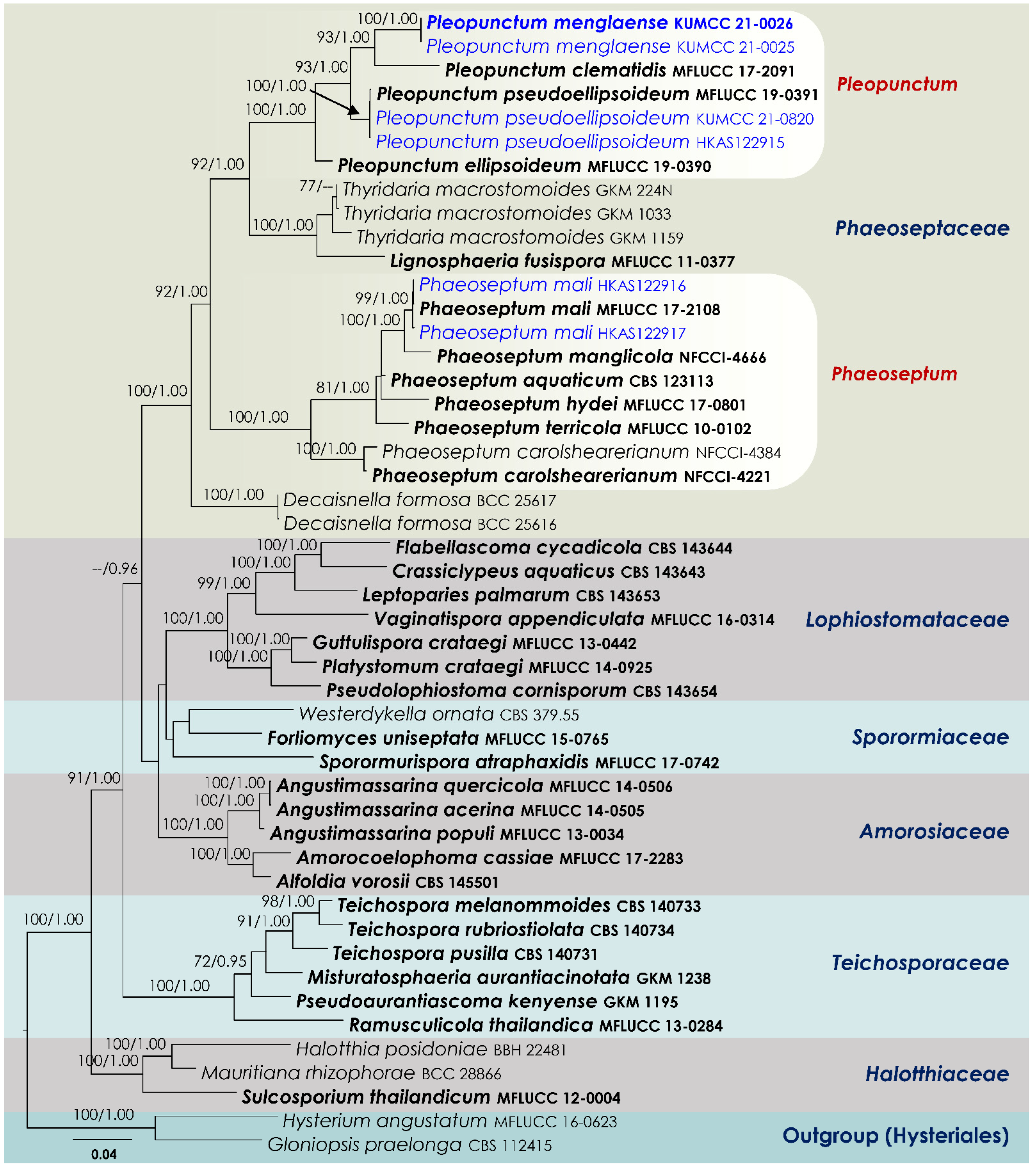 Jof 08 00375 g001 Jof 08 00375 g001