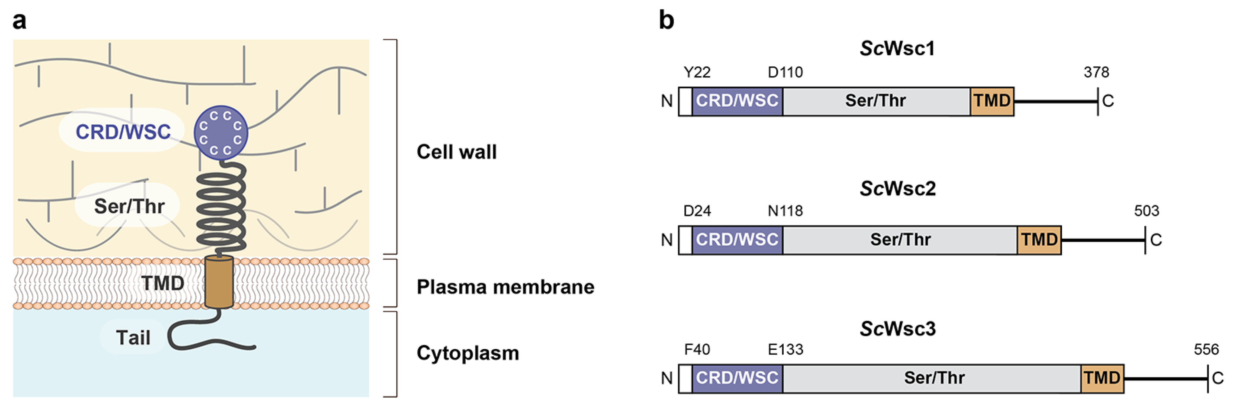 Jof 08 00379 g001 Jof 08 00379 g001