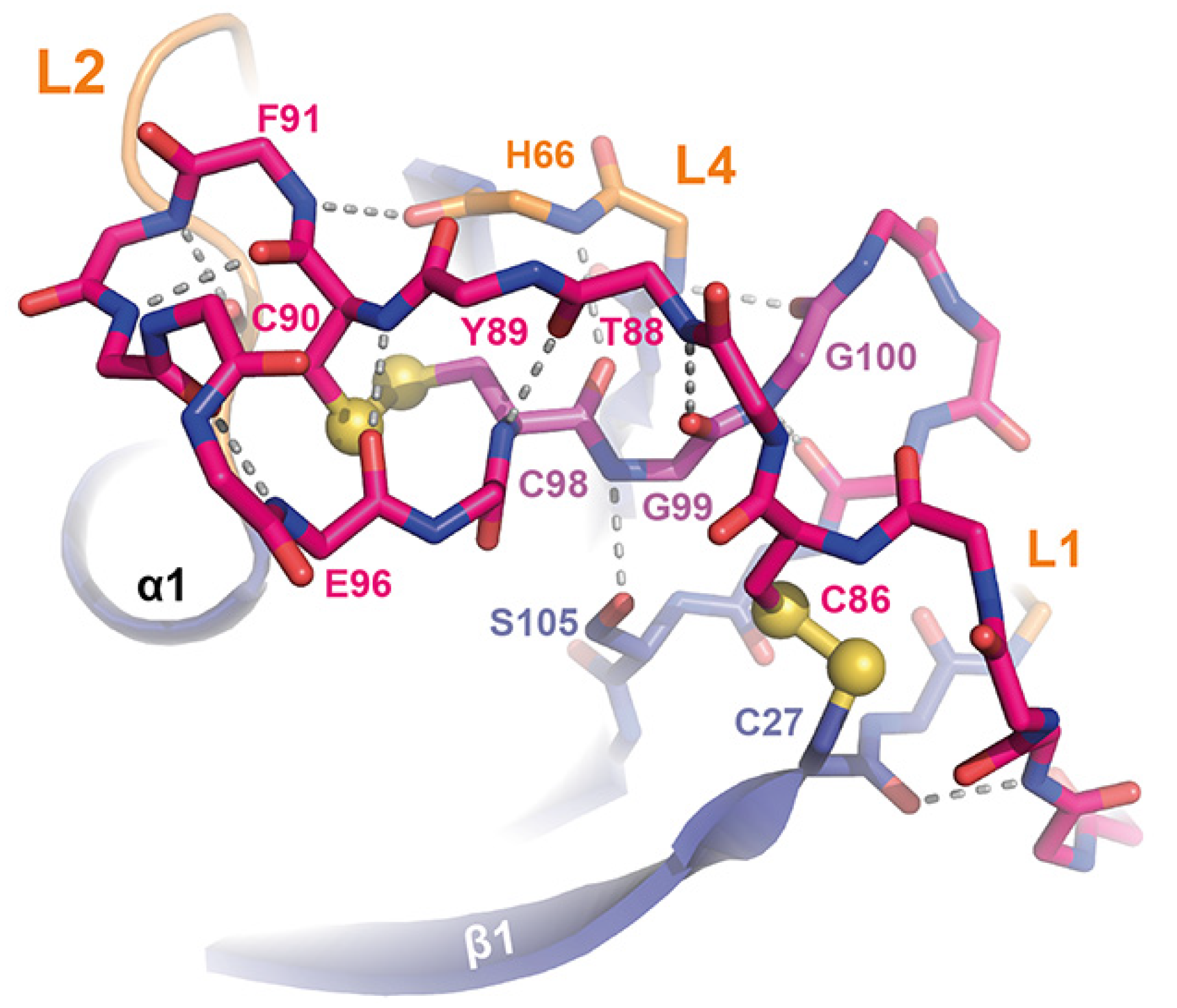 Jof 08 00379 g005 Jof 08 00379 g005