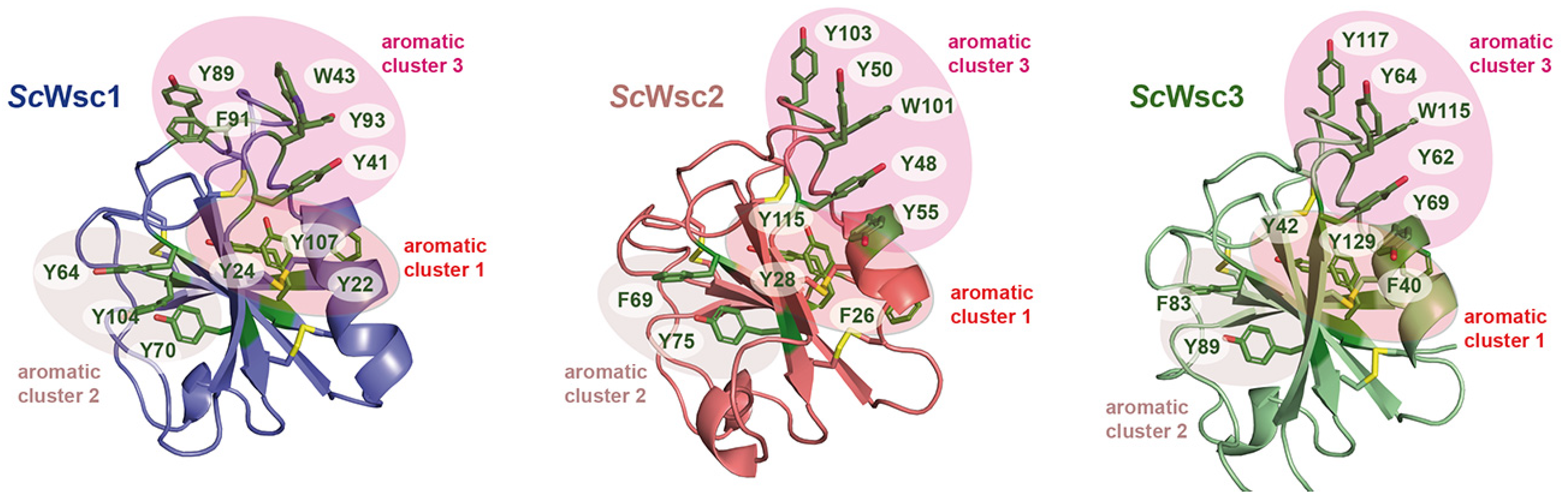 Jof 08 00379 g007 Jof 08 00379 g007