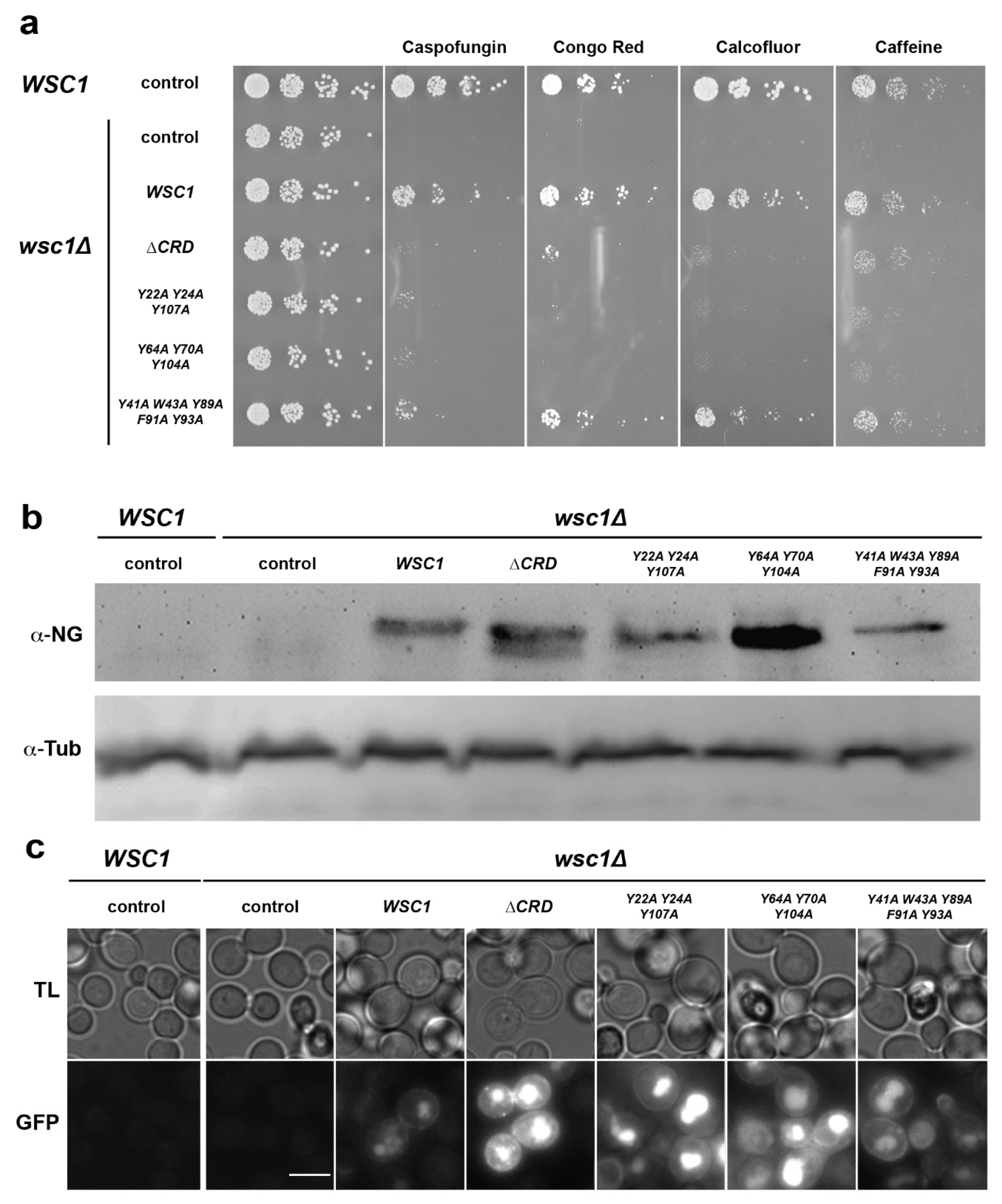 Jof 08 00379 g008 Jof 08 00379 g008
