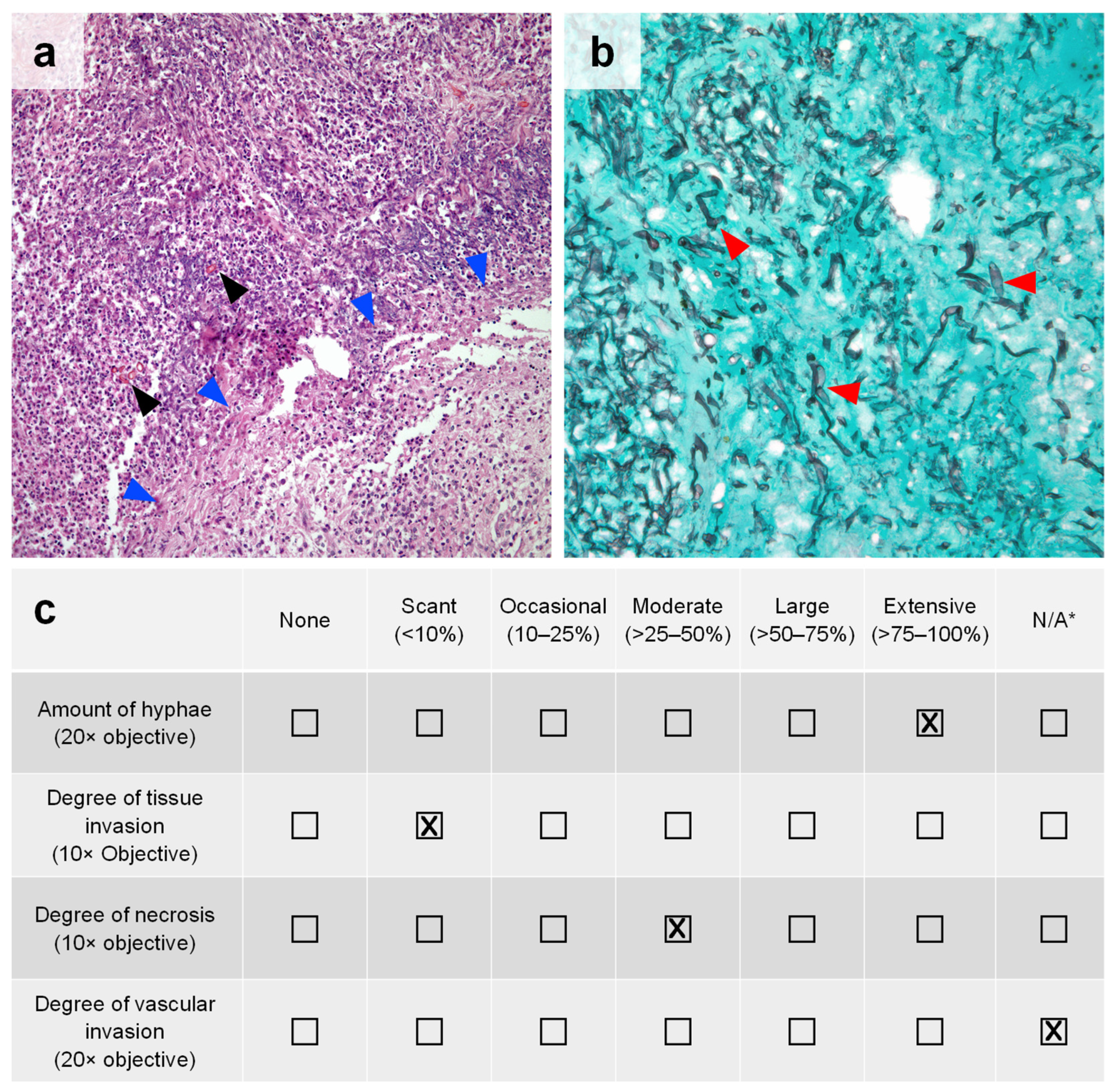 Jof 08 00380 g001 Jof 08 00380 g001