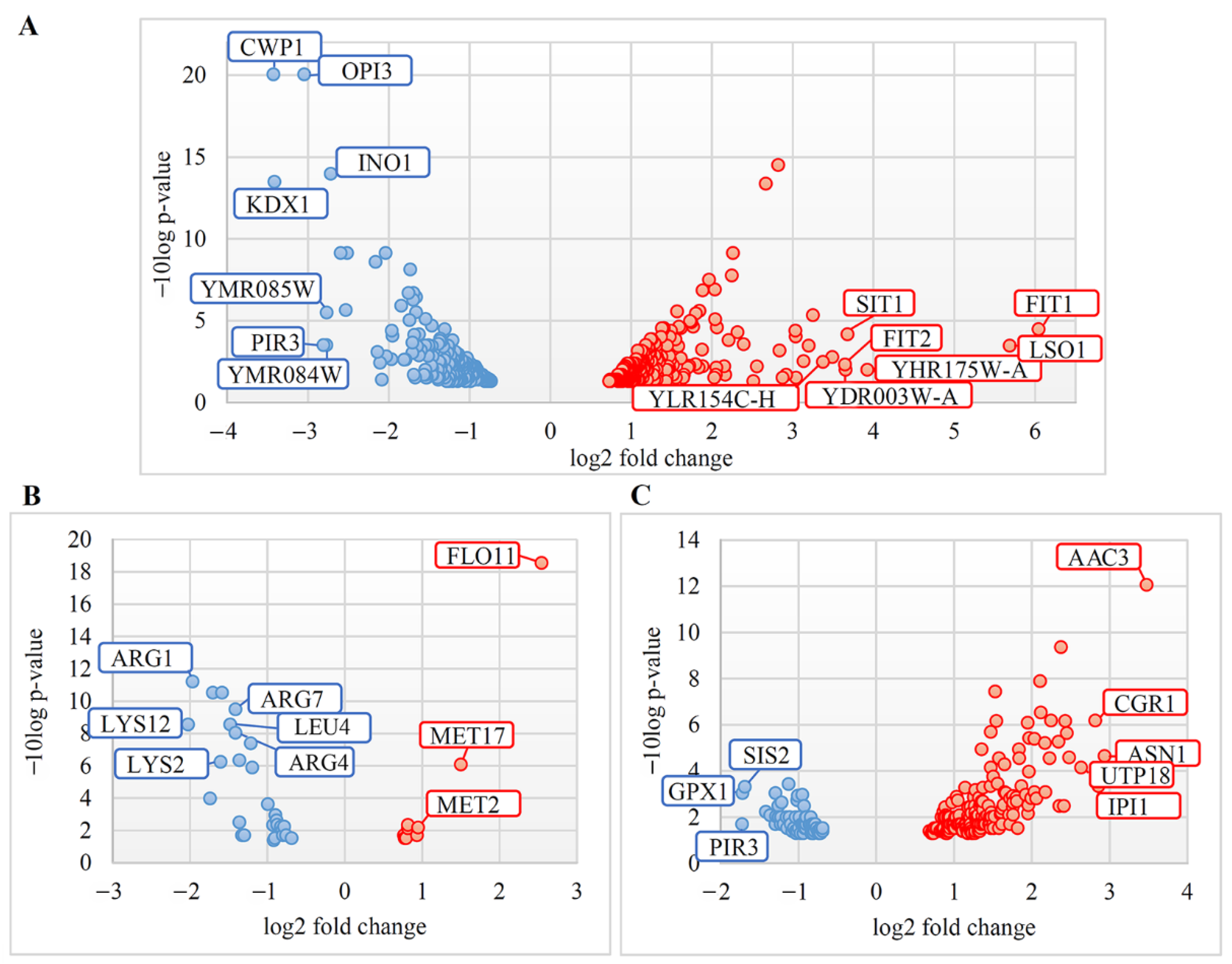 Jof 08 00381 g001 Jof 08 00381 g001