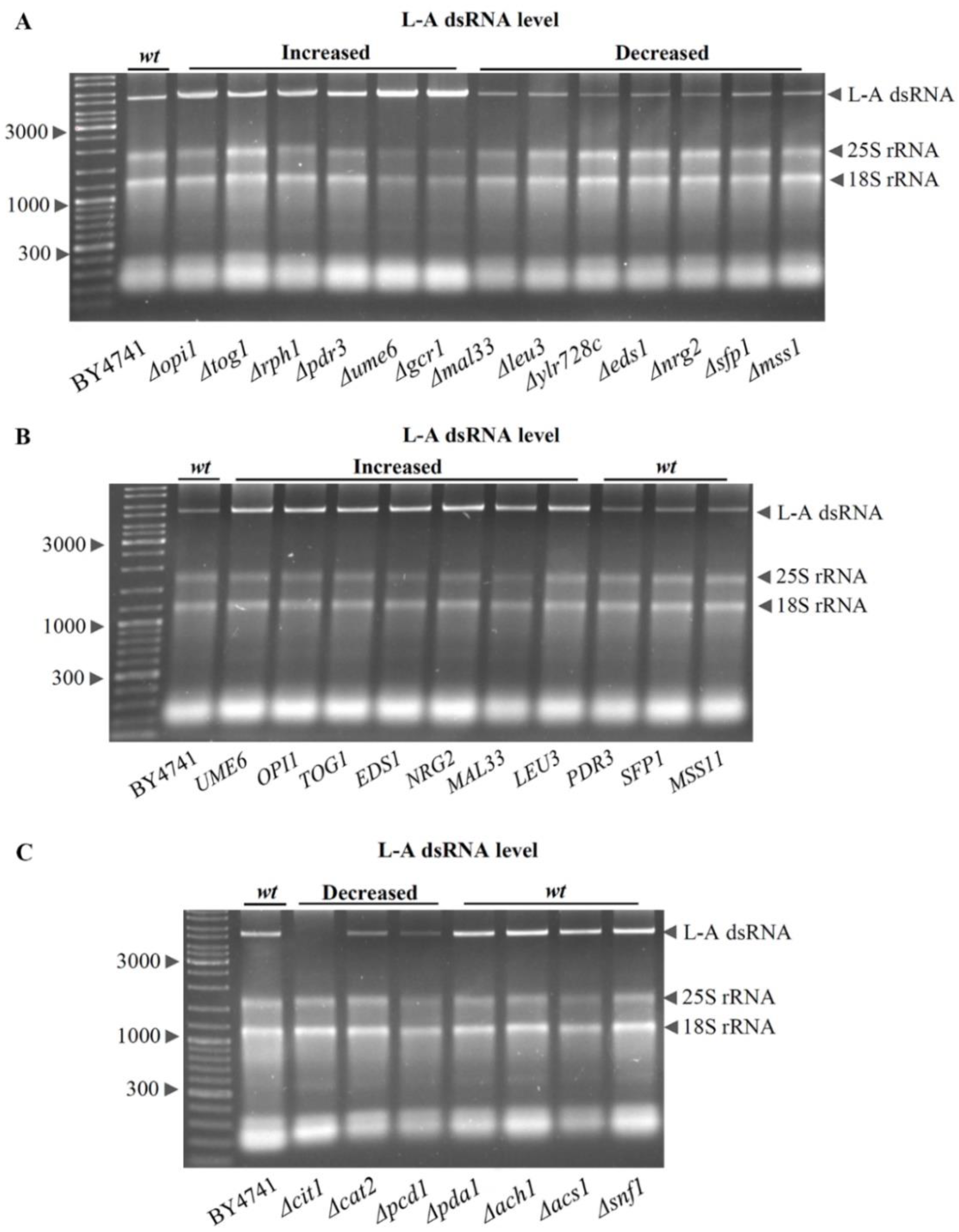 Jof 08 00381 g006 Jof 08 00381 g006