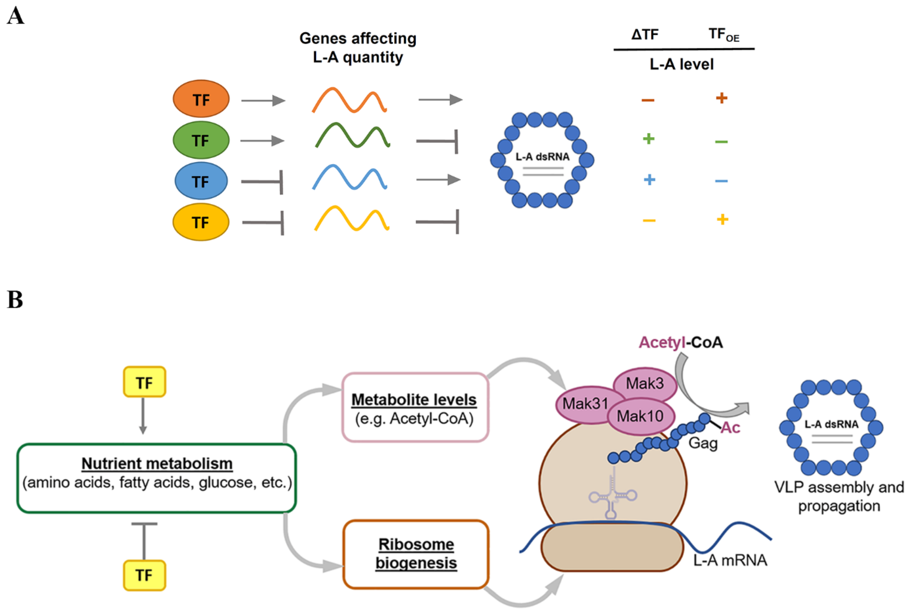 Jof 08 00381 g007 Jof 08 00381 g007