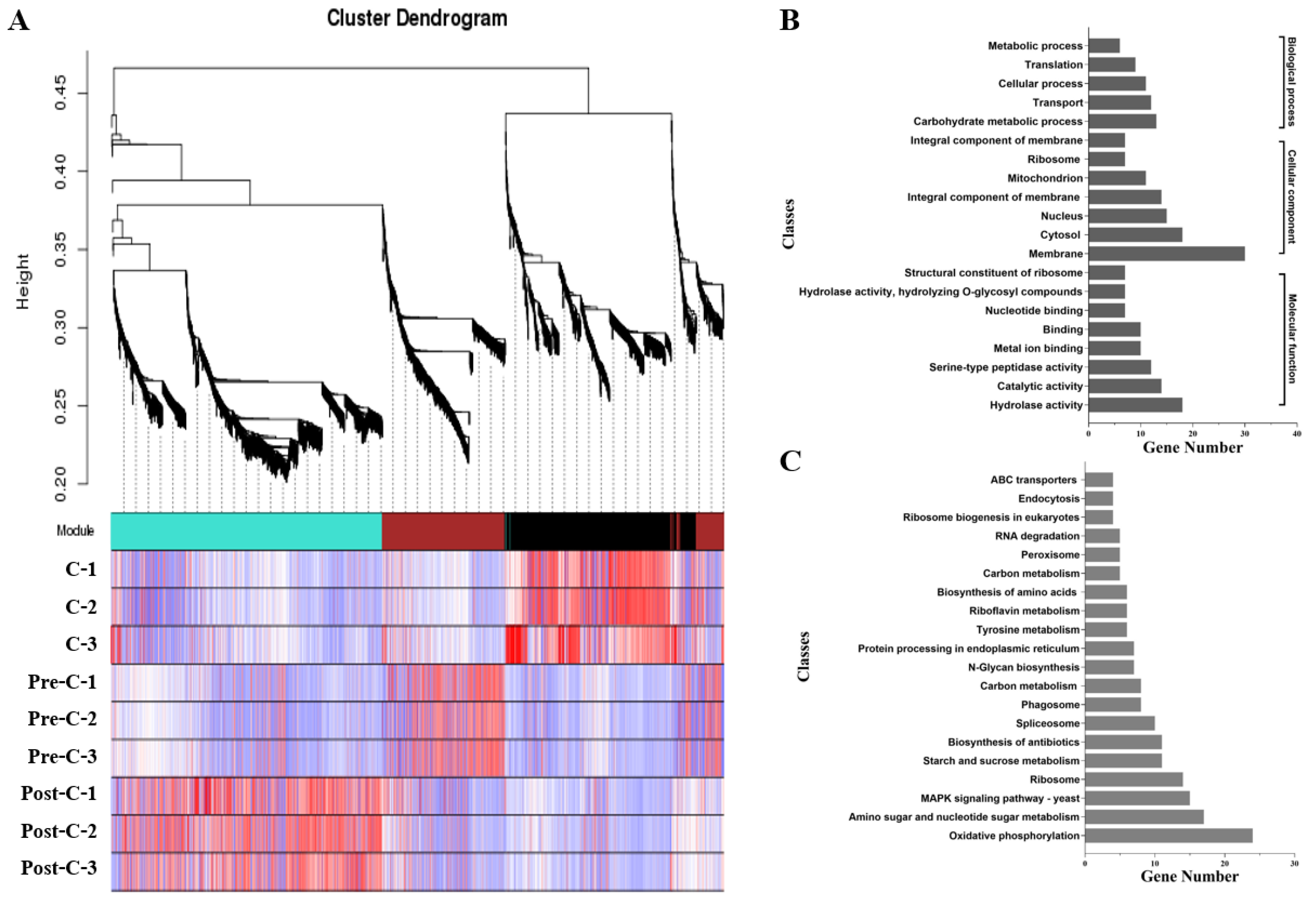Jof 08 00389 g009 550
