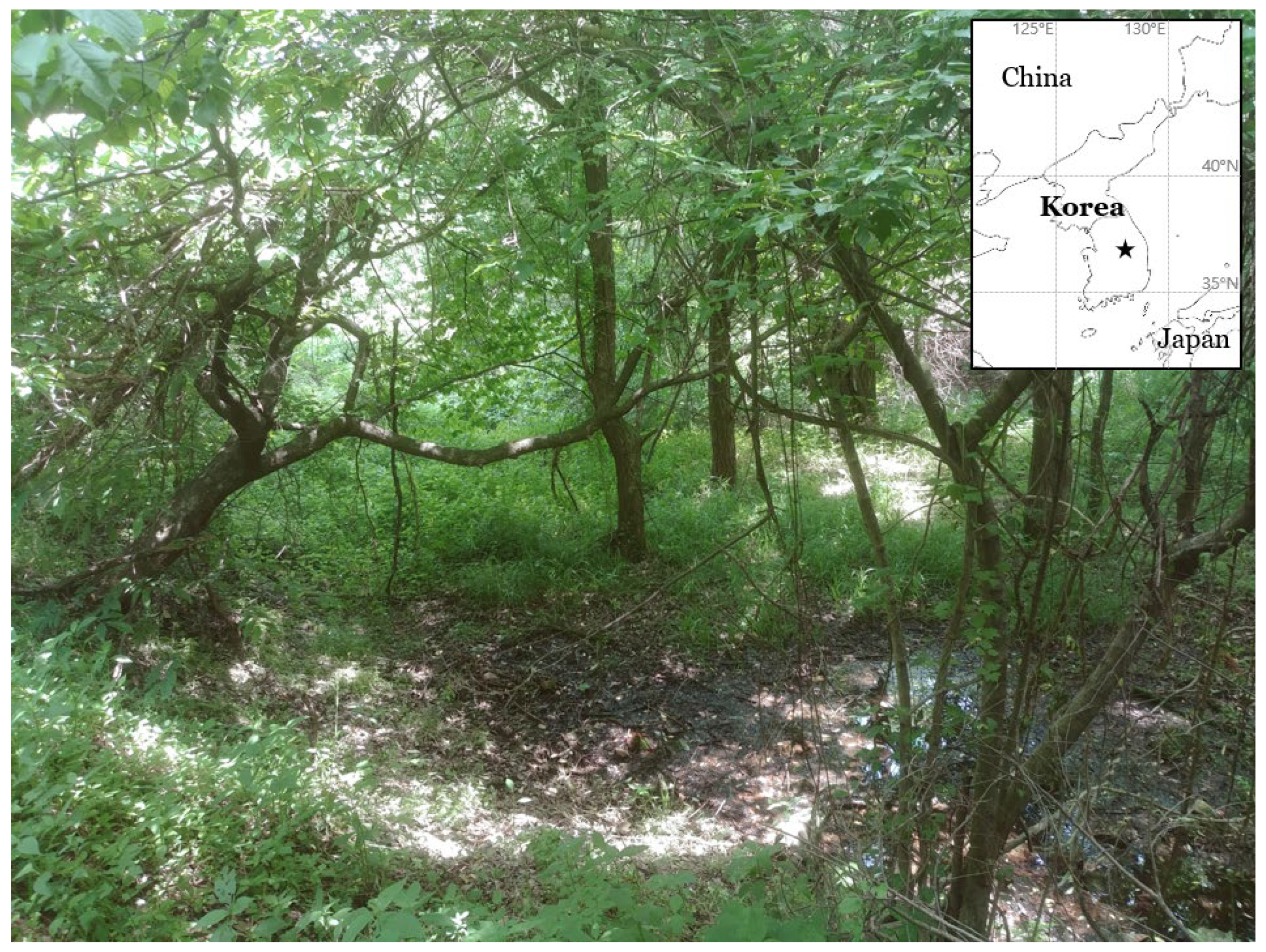 Jof 08 00392 g001 Jof 08 00392 g001