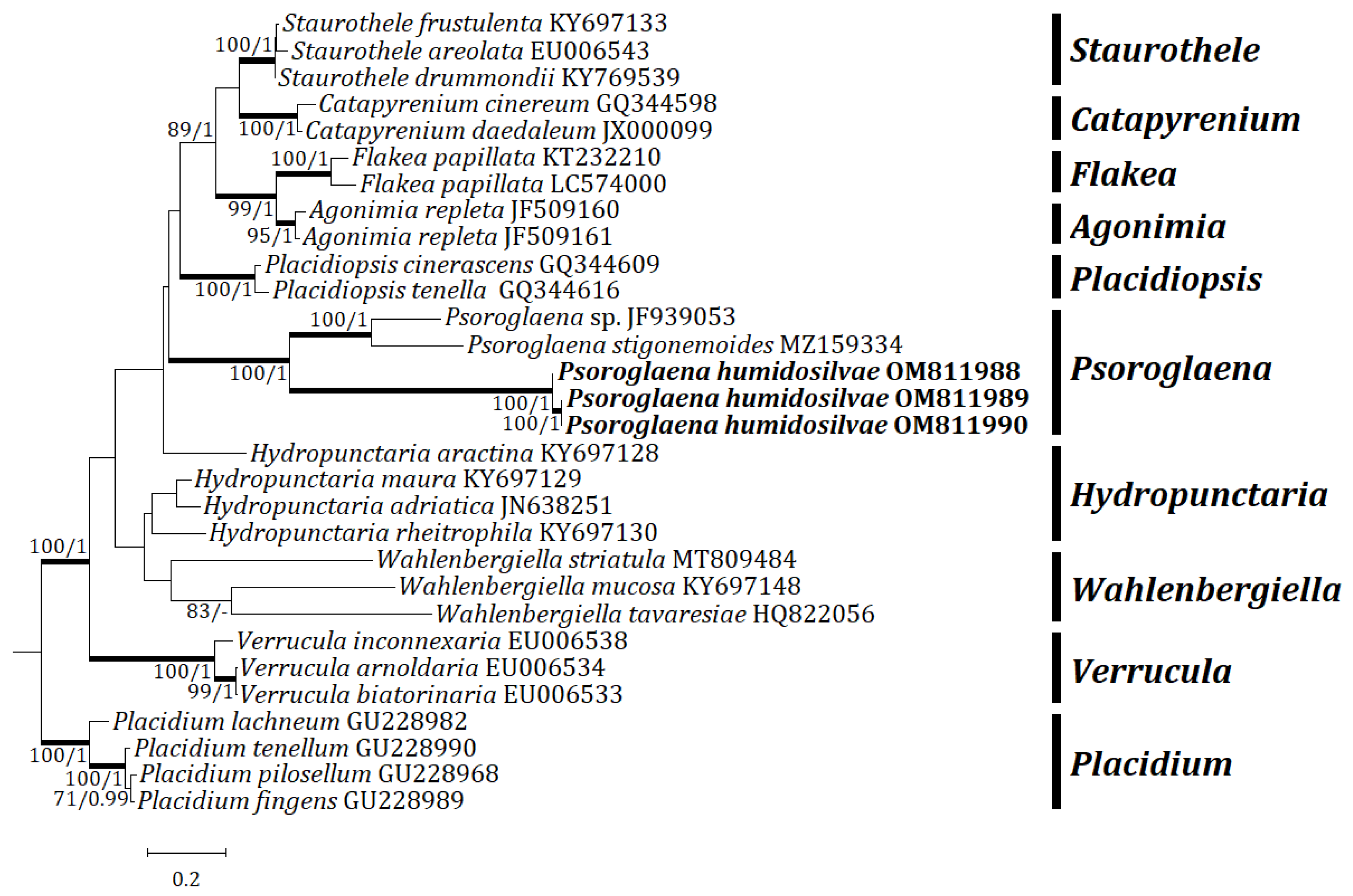 Jof 08 00392 g002 Jof 08 00392 g002