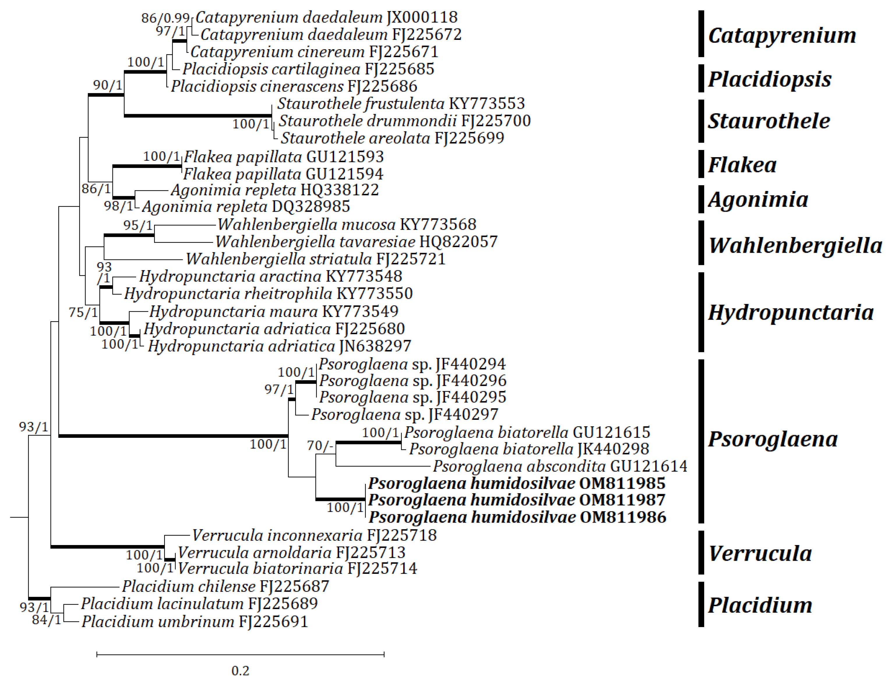 Jof 08 00392 g003 Jof 08 00392 g003