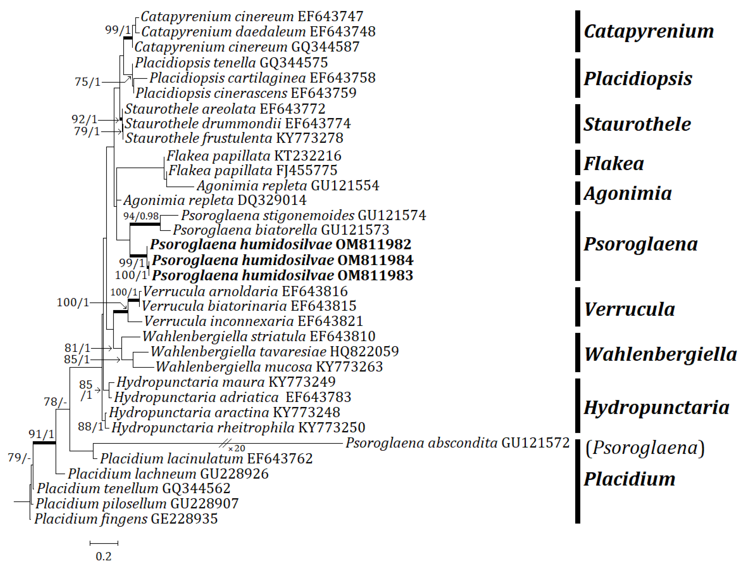 Jof 08 00392 g004 Jof 08 00392 g004