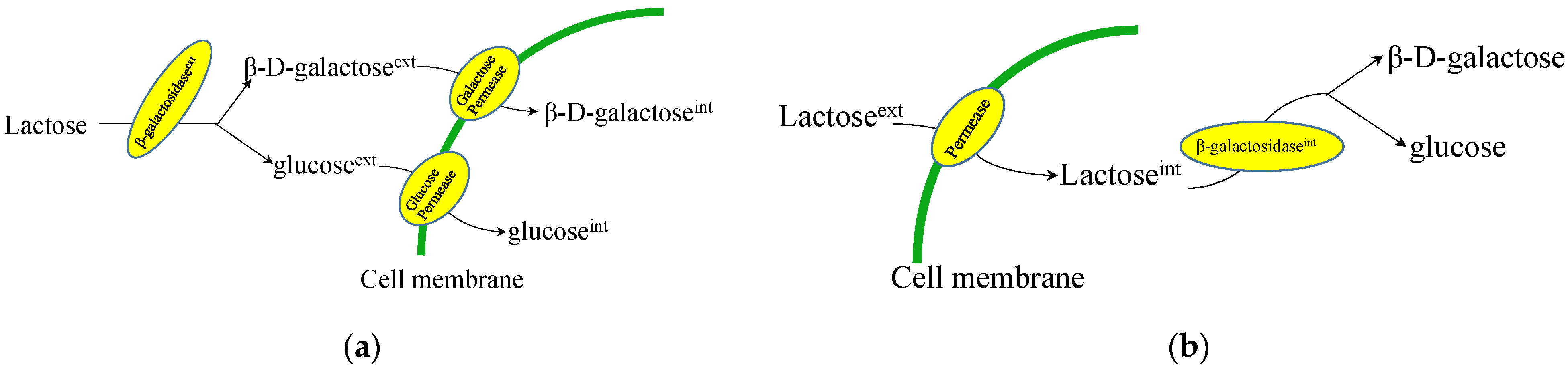 Jof 08 00395 g002 Jof 08 00395 g002
