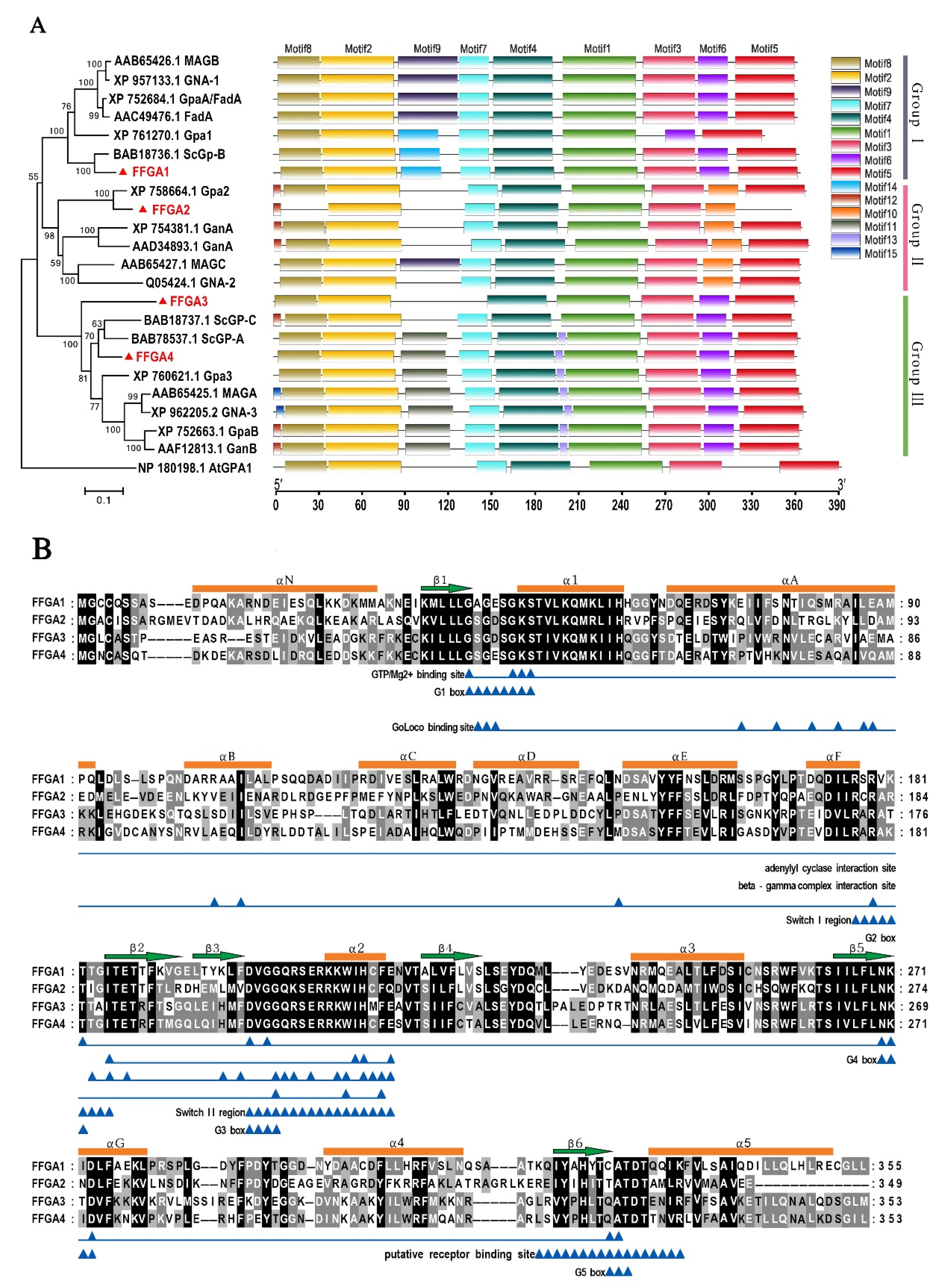 Jof 08 00401 g001 Jof 08 00401 g001
