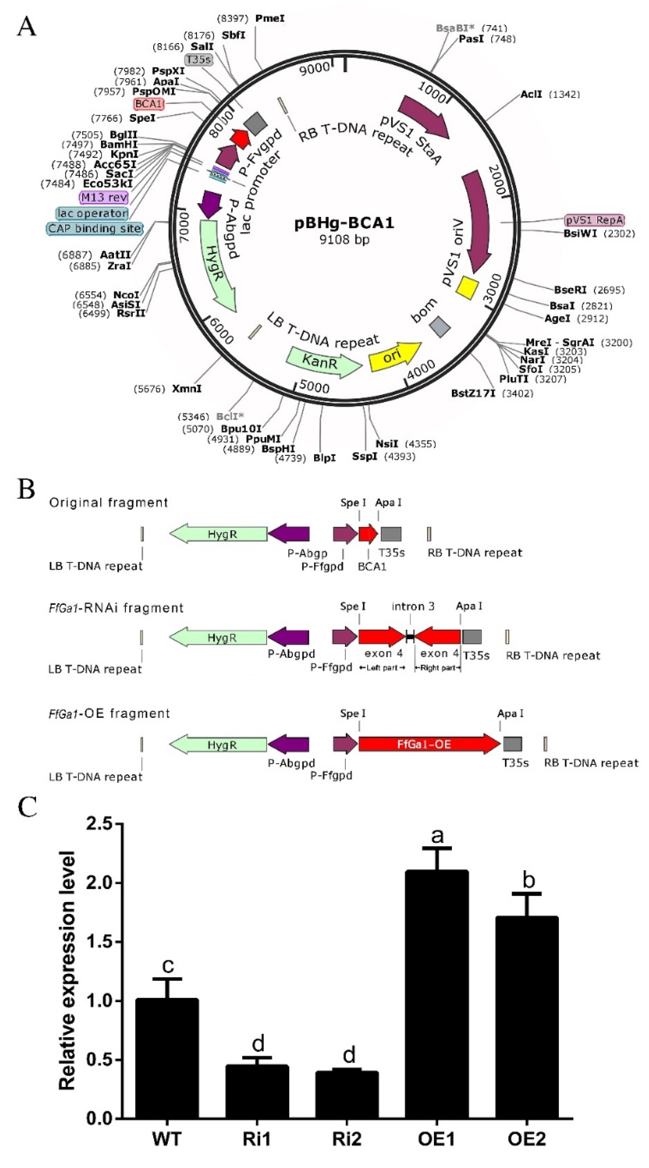 Jof 08 00401 g003 Jof 08 00401 g003