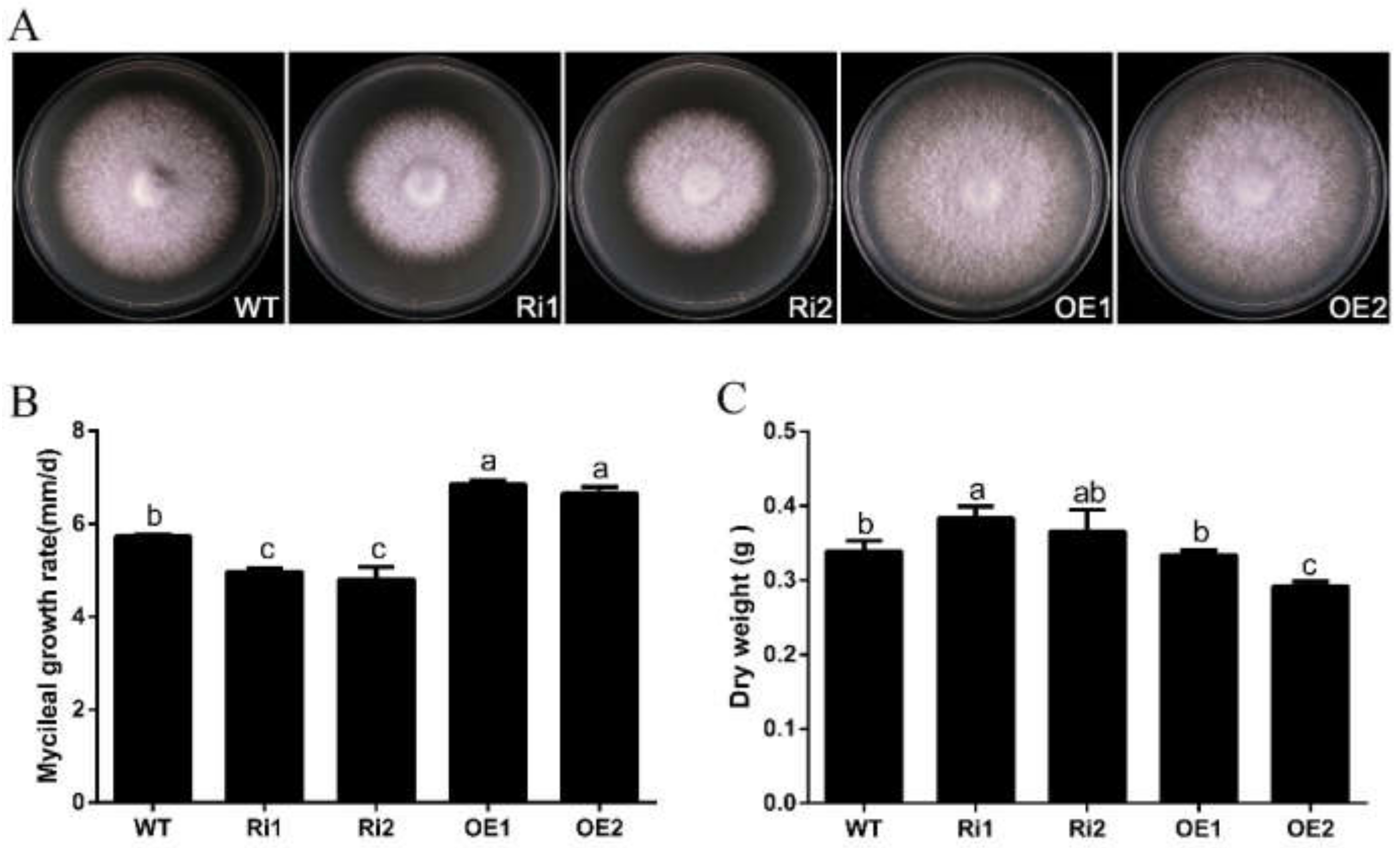 Jof 08 00401 g004 Jof 08 00401 g004