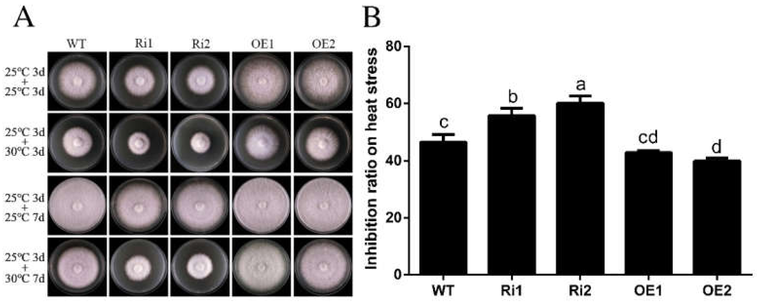 Jof 08 00401 g005 Jof 08 00401 g005