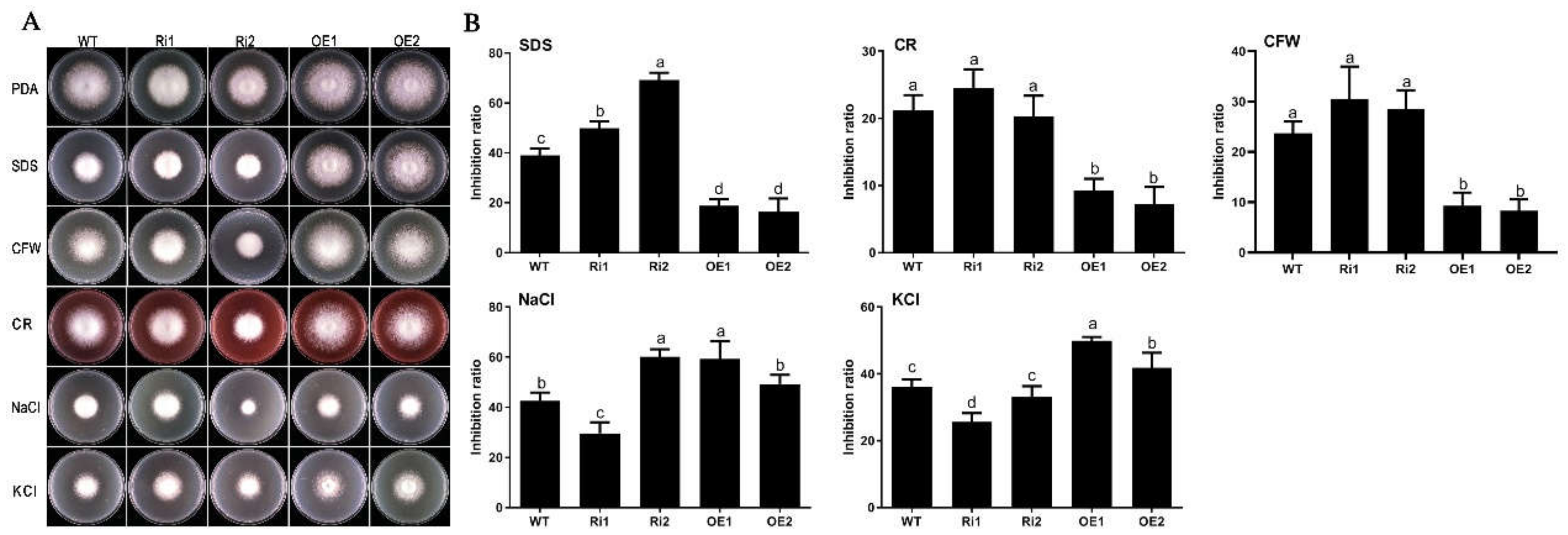 Jof 08 00401 g006 Jof 08 00401 g006