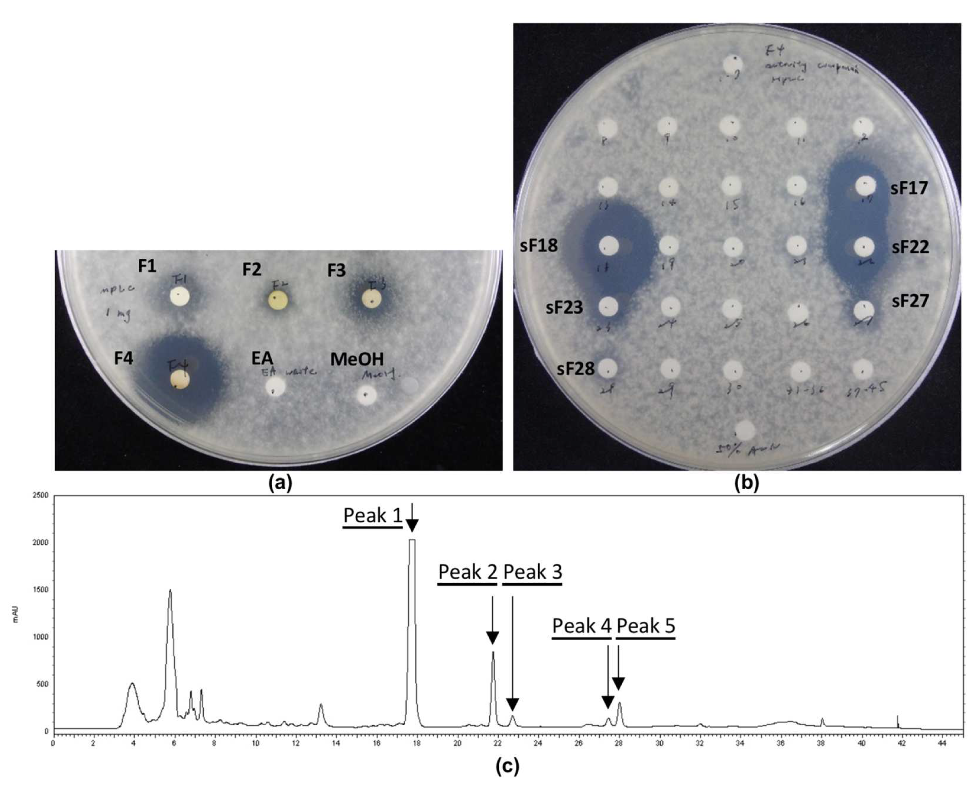 Jof 08 00403 g002 550