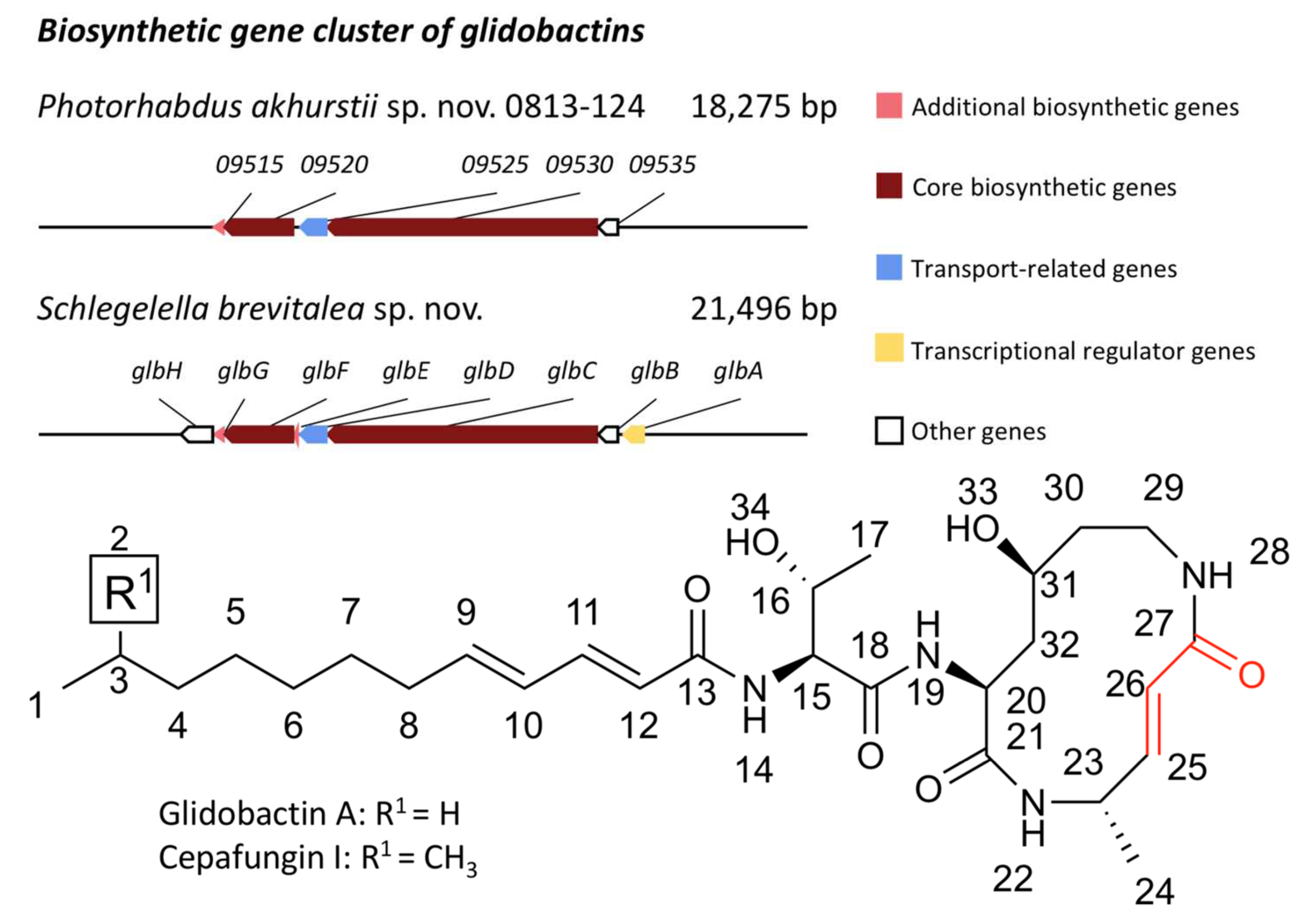 Jof 08 00403 g004 550