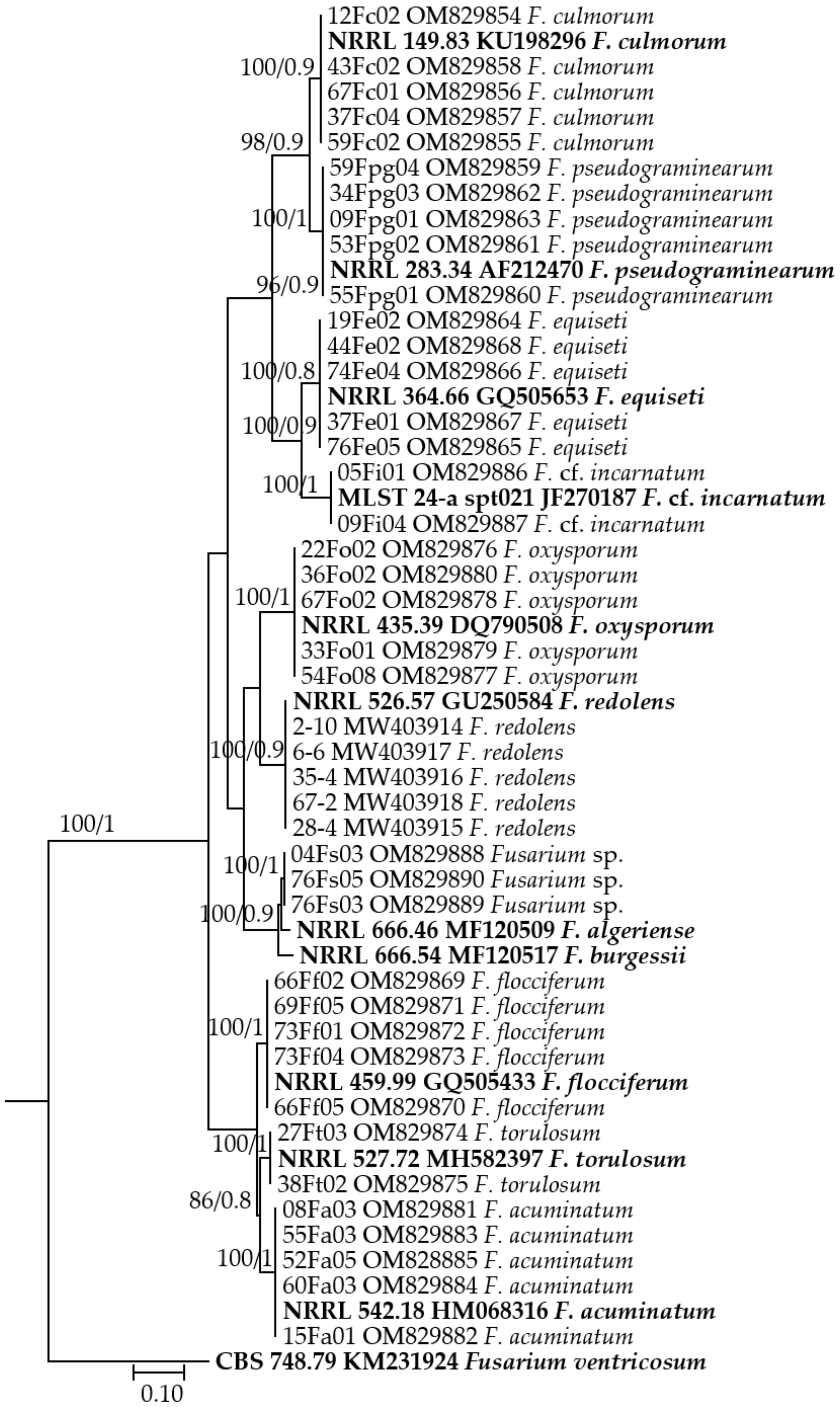 Jof 08 00417 g002 Jof 08 00417 g002