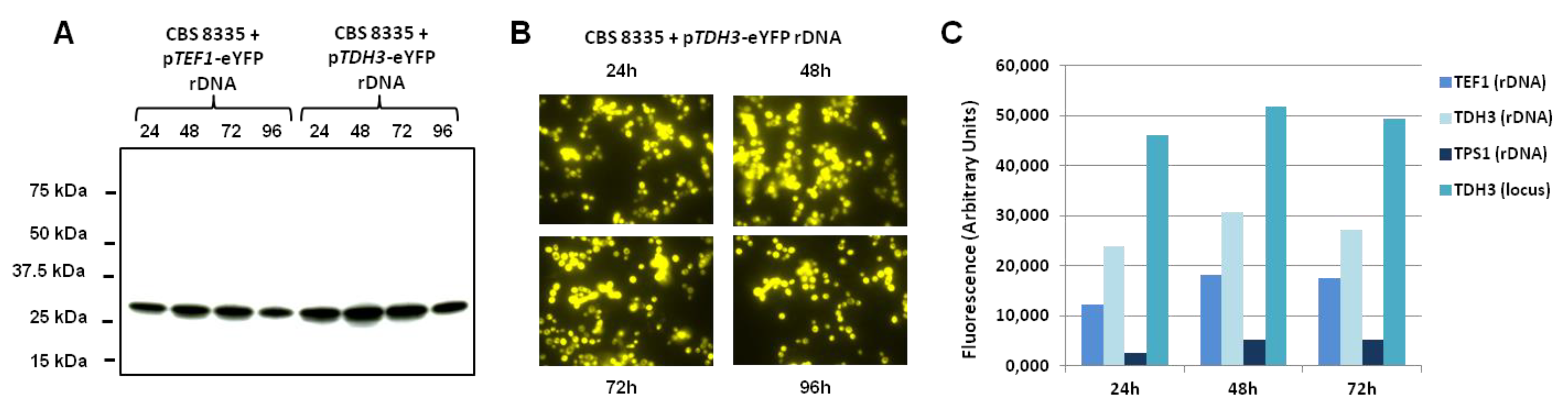 Jof 08 00418 g002 Jof 08 00418 g002