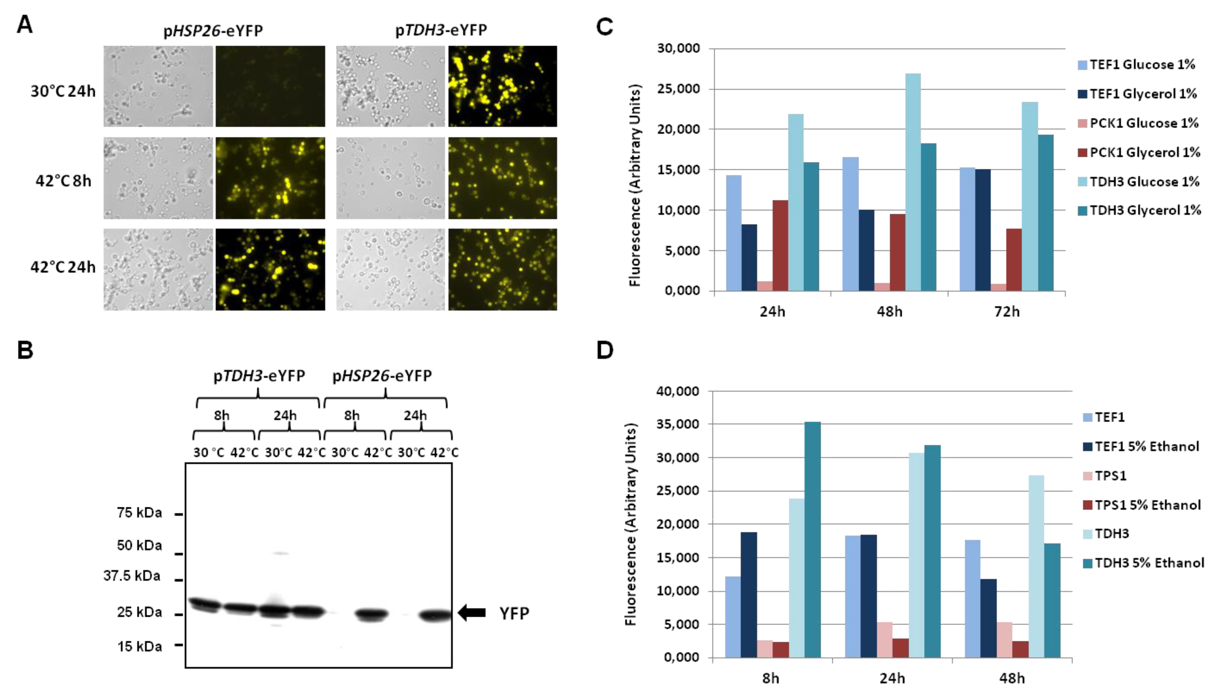 Jof 08 00418 g003 Jof 08 00418 g003