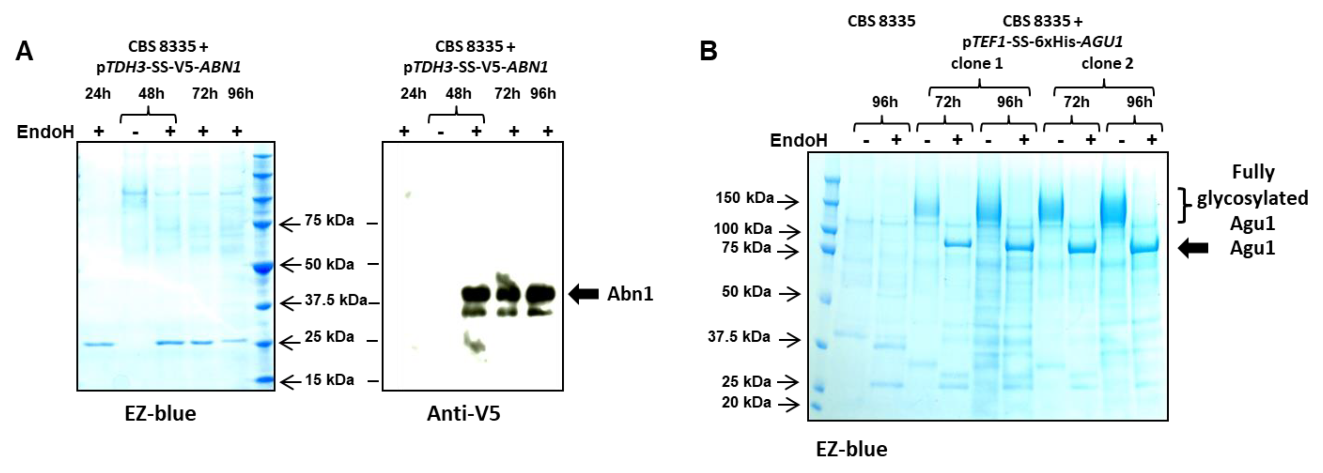 Jof 08 00418 g004 Jof 08 00418 g004