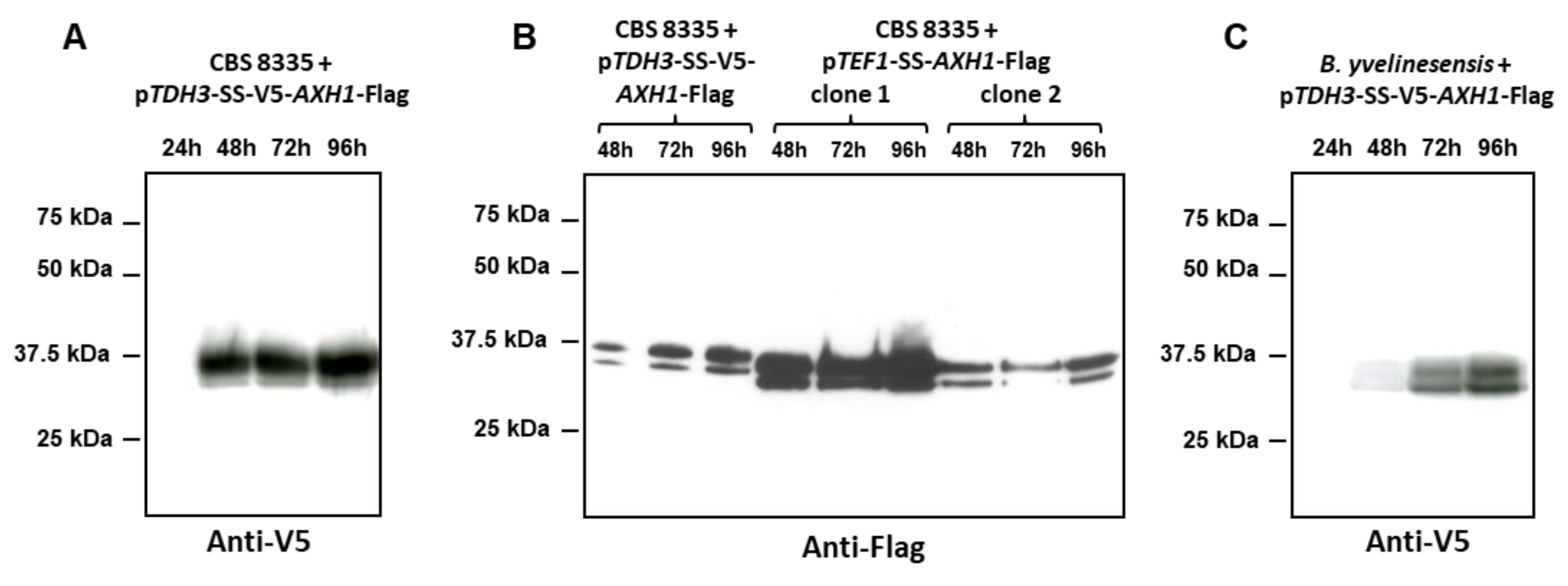 Jof 08 00418 g005 Jof 08 00418 g005