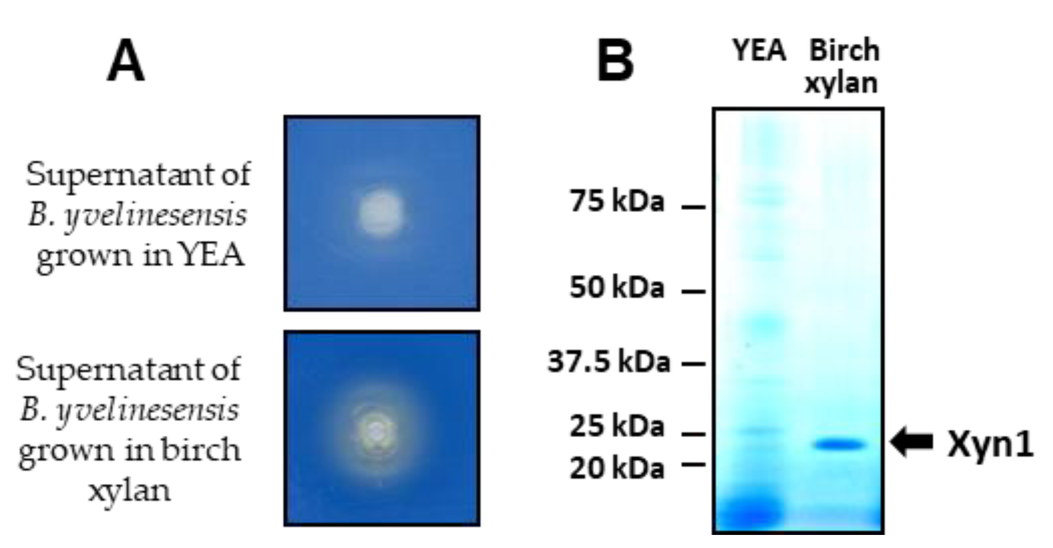 Jof 08 00418 g006 Jof 08 00418 g006