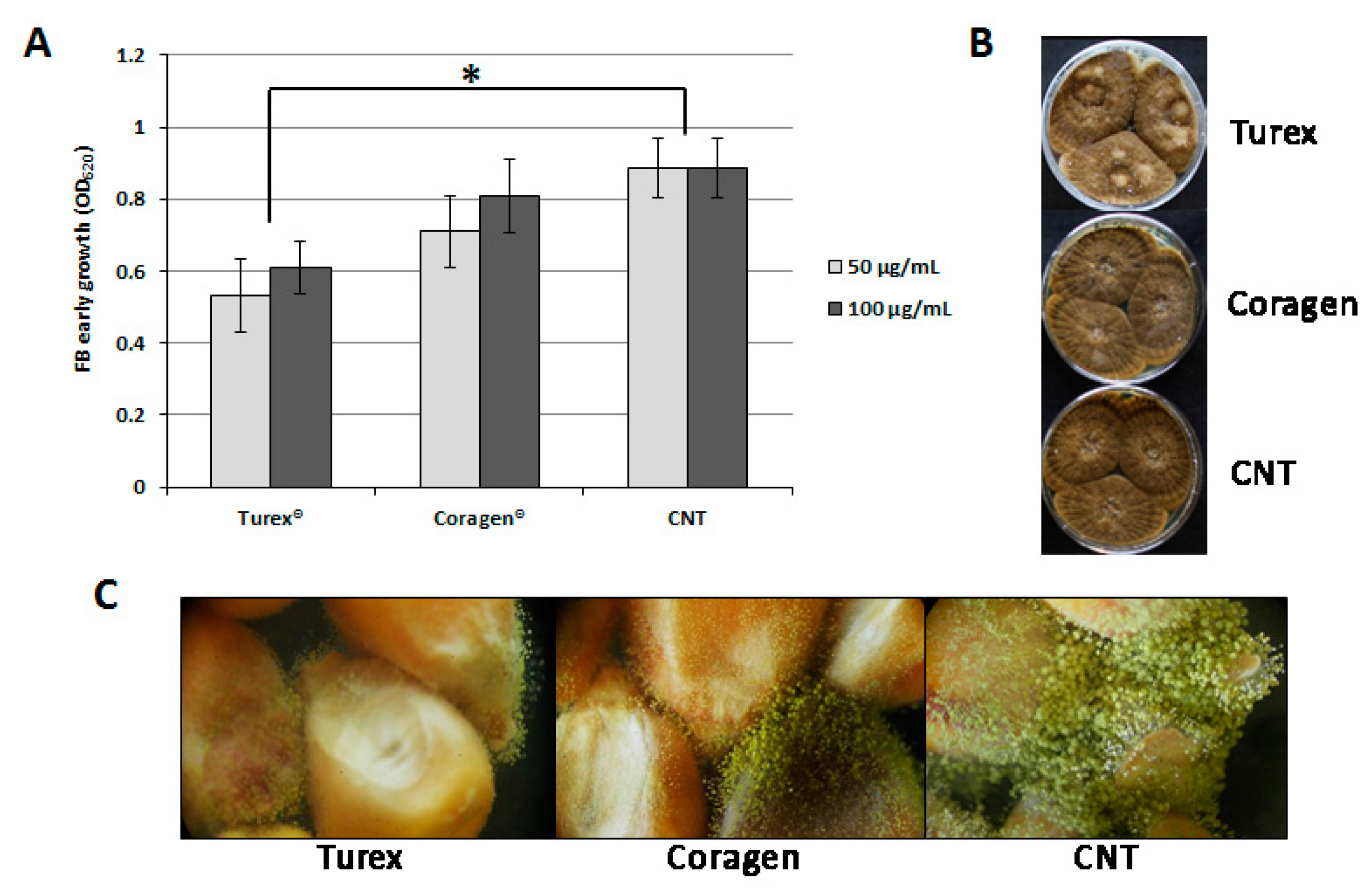 Jof 08 00425 g001 Jof 08 00425 g001