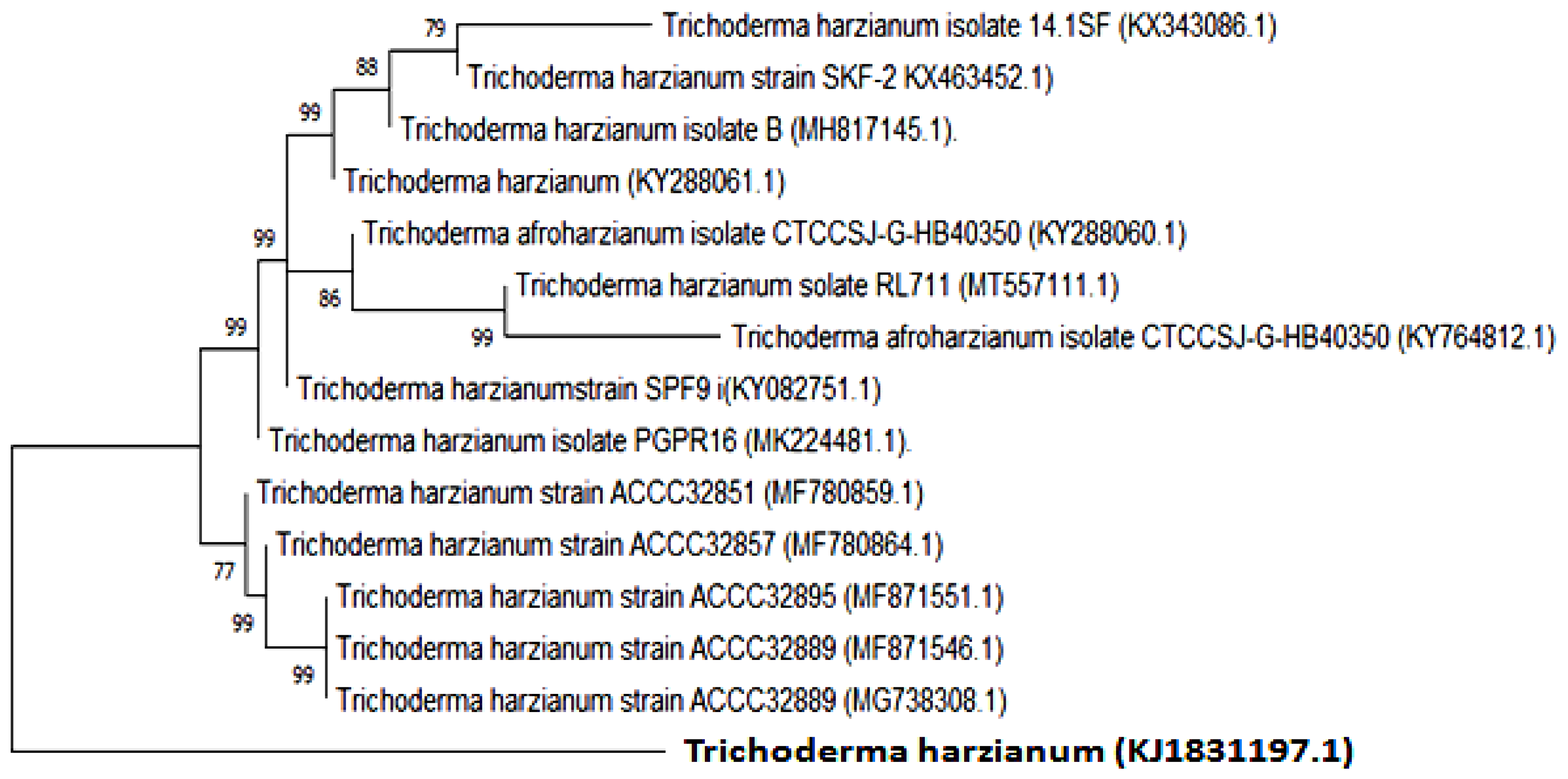 Jof 08 00447 g002 Jof 08 00447 g002