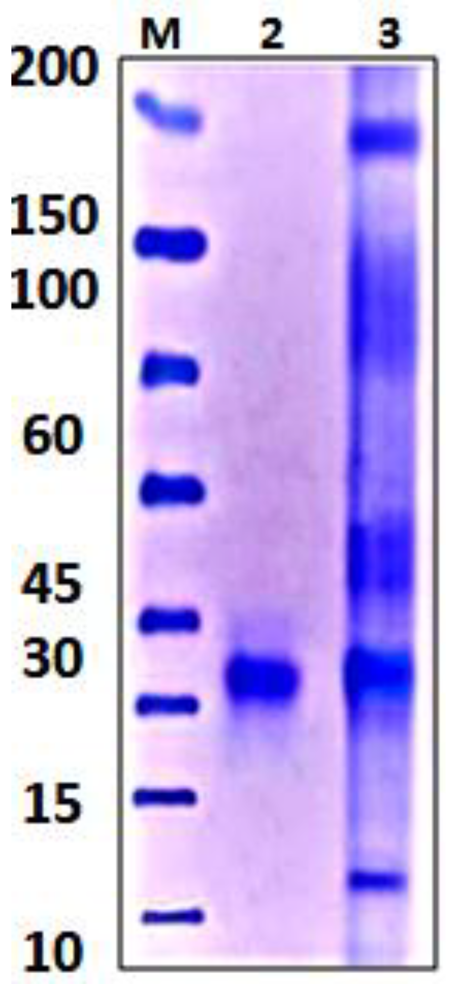 Jof 08 00447 g010 Jof 08 00447 g010