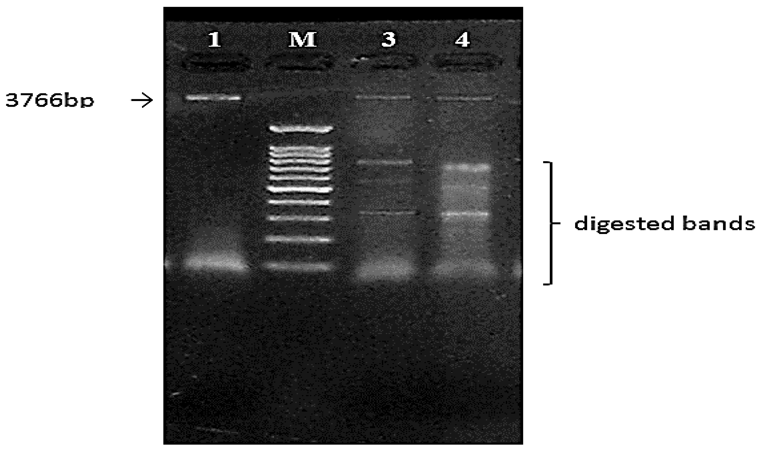 Jof 08 00447 g013 Jof 08 00447 g013