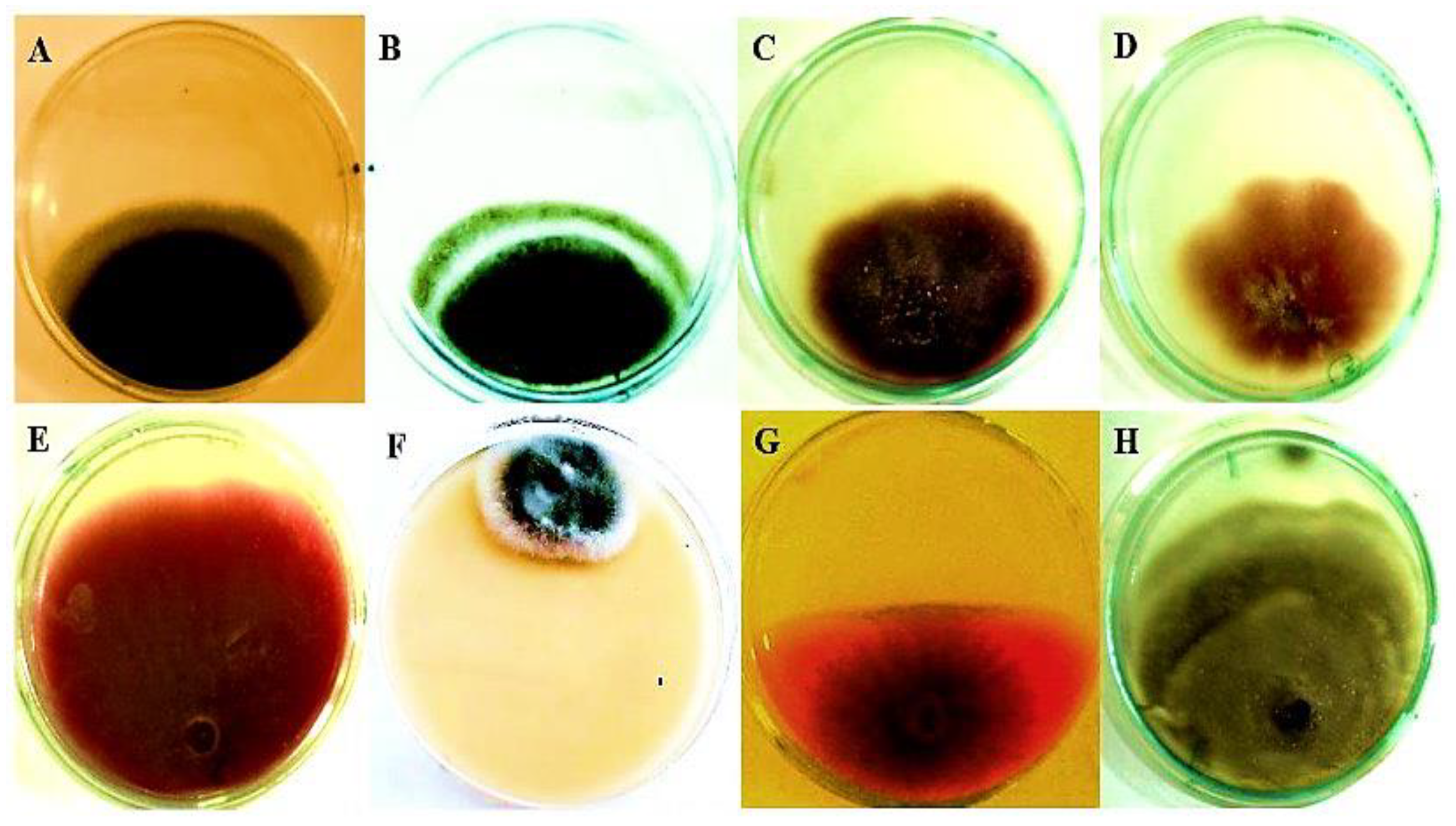 Jof 08 00447 g014 Jof 08 00447 g014