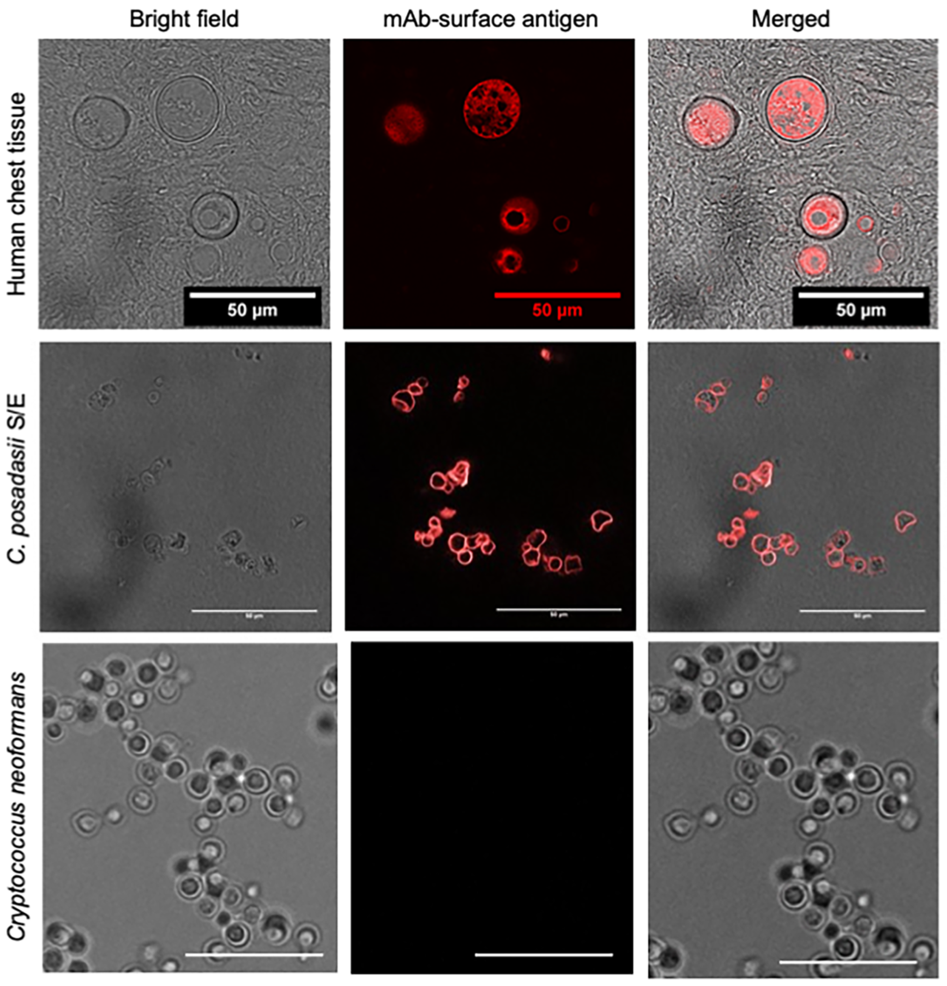 Jof 08 00455 g002 550