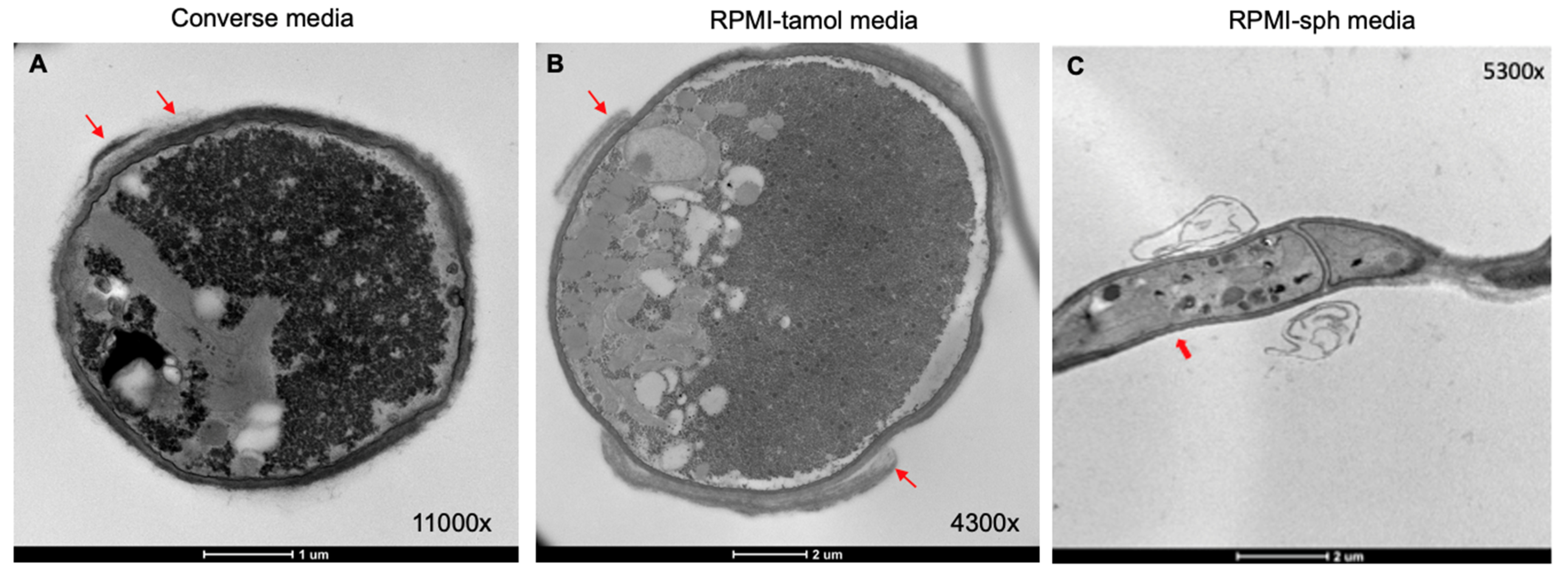 Jof 08 00455 g004 550
