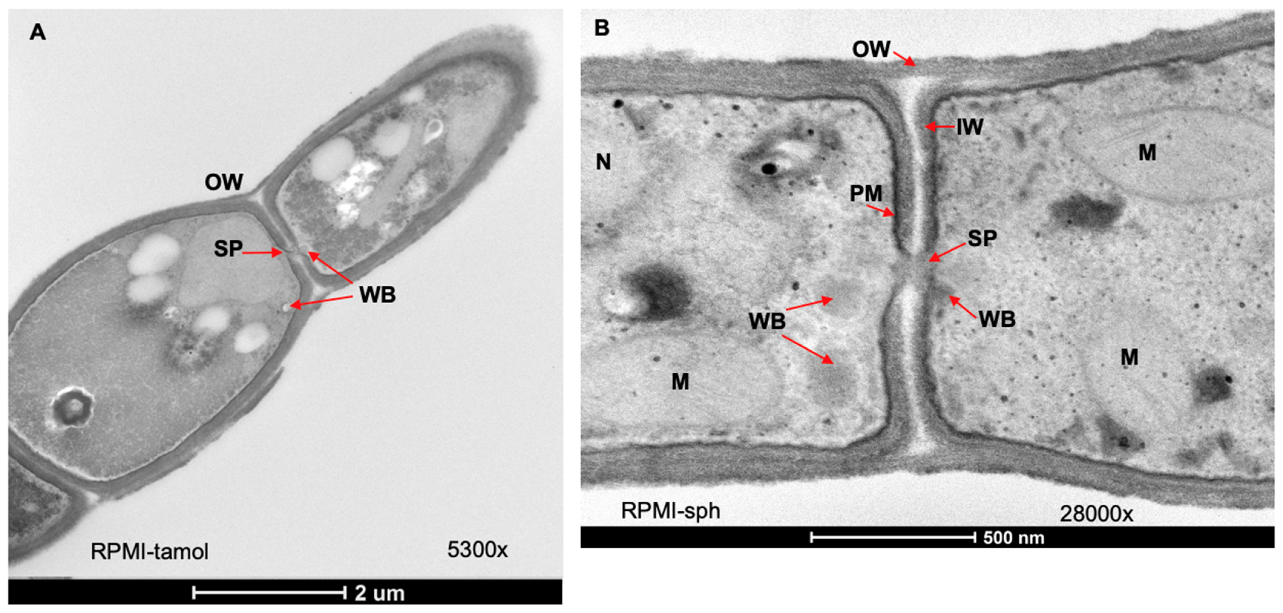 Jof 08 00455 g006 550