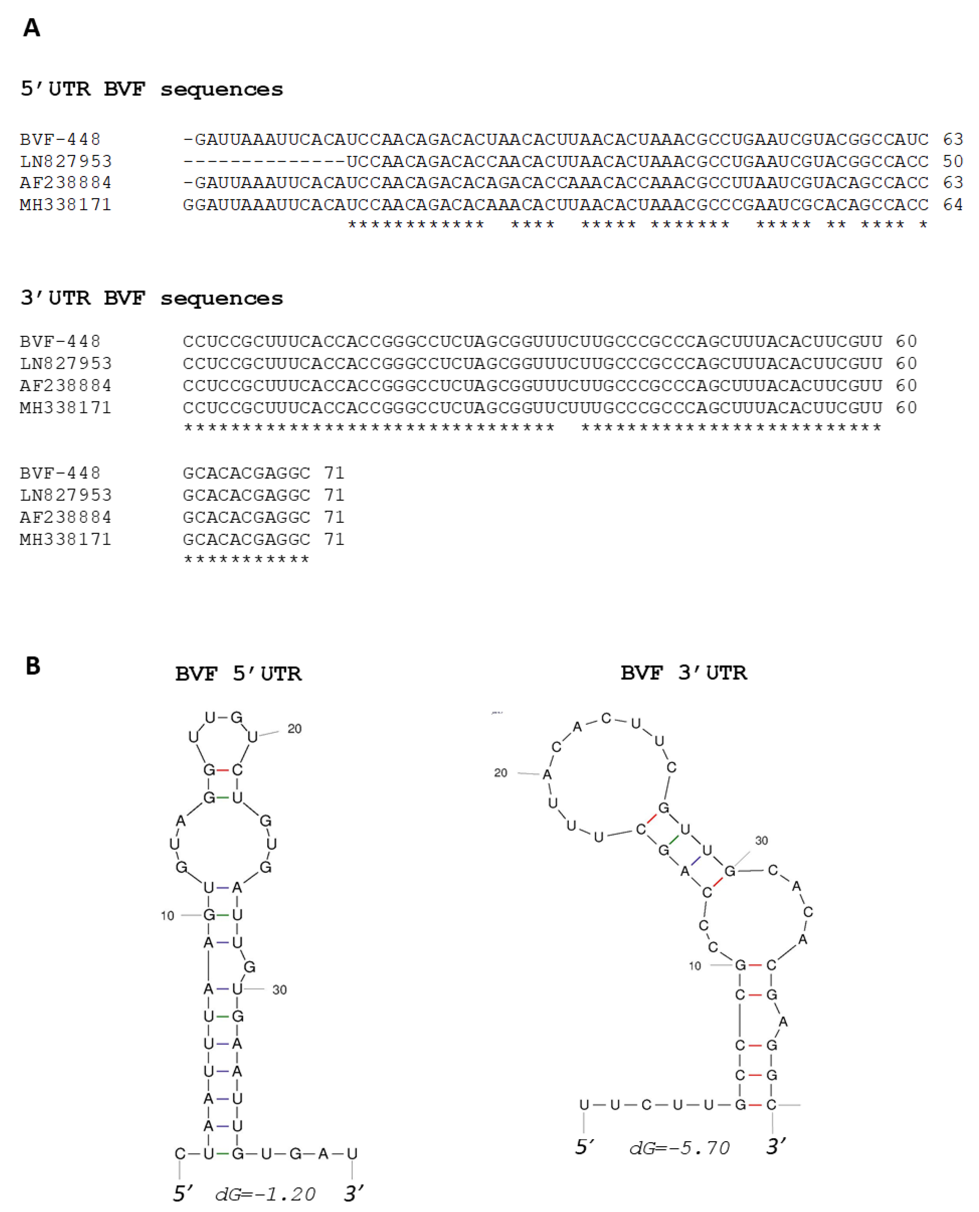 Jof 08 00459 g001 Jof 08 00459 g001