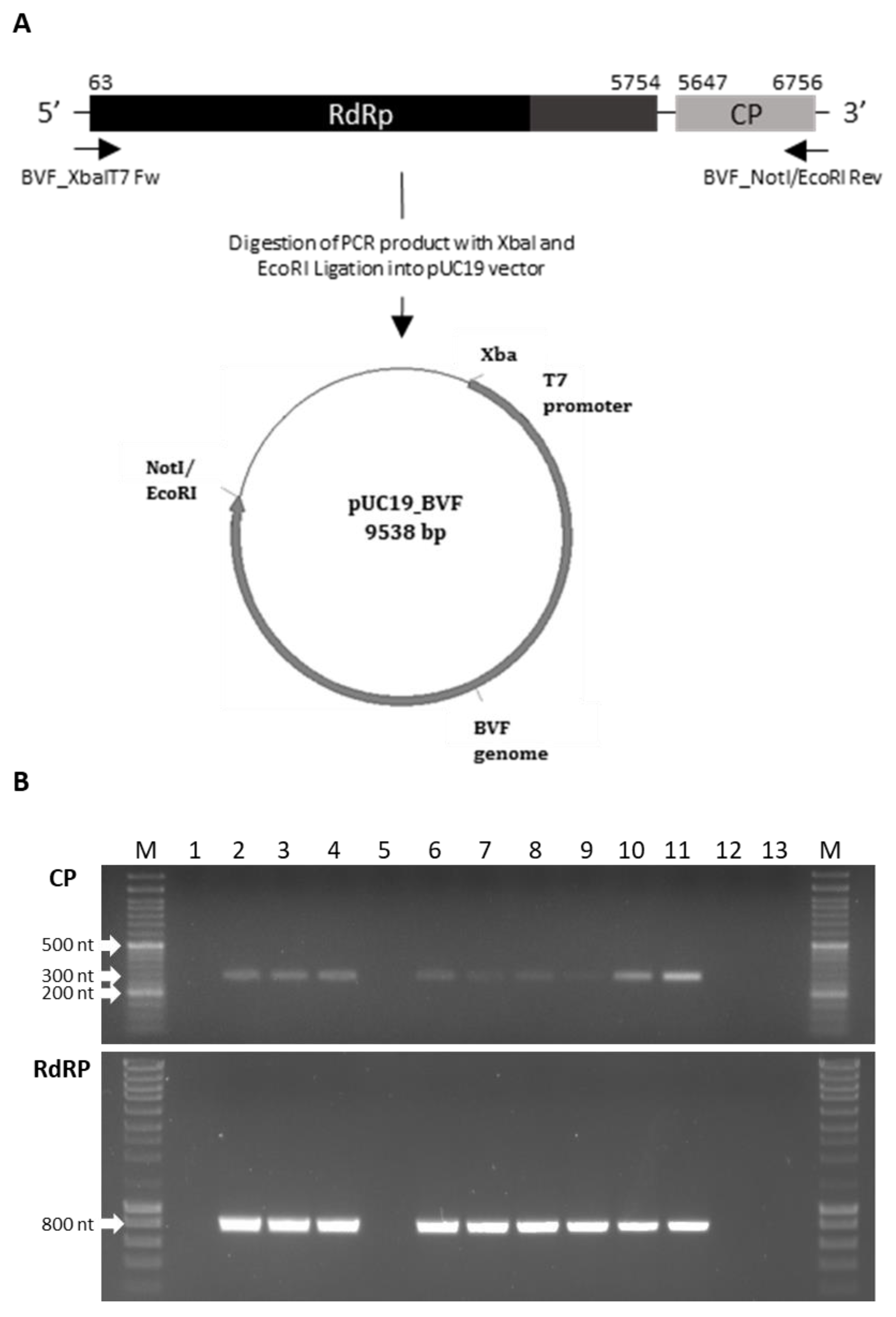 Jof 08 00459 g003 Jof 08 00459 g003