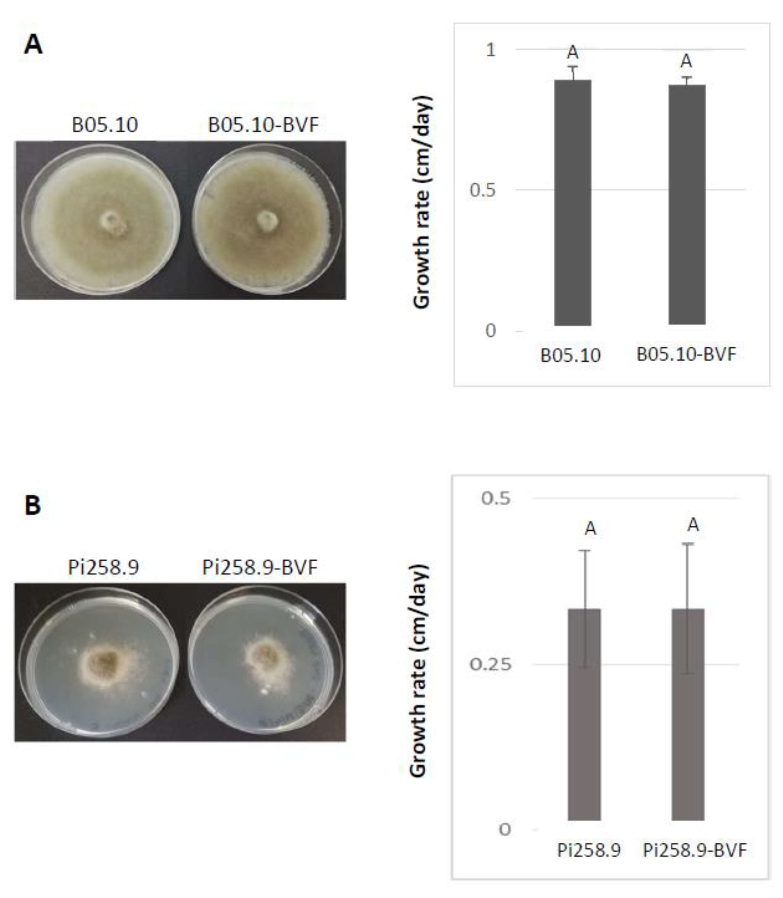 Jof 08 00459 g005 Jof 08 00459 g005